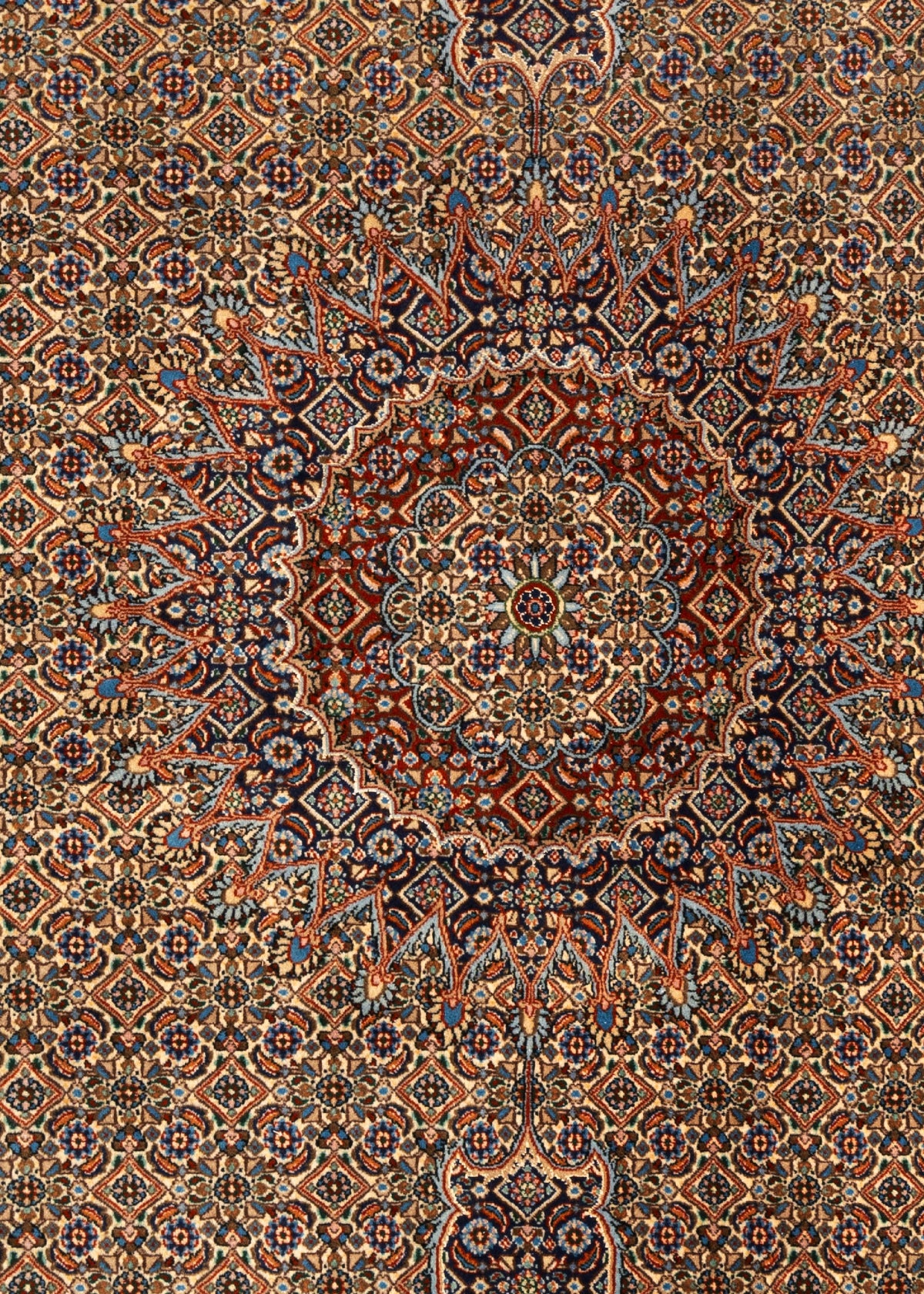 289 x 200 Moud