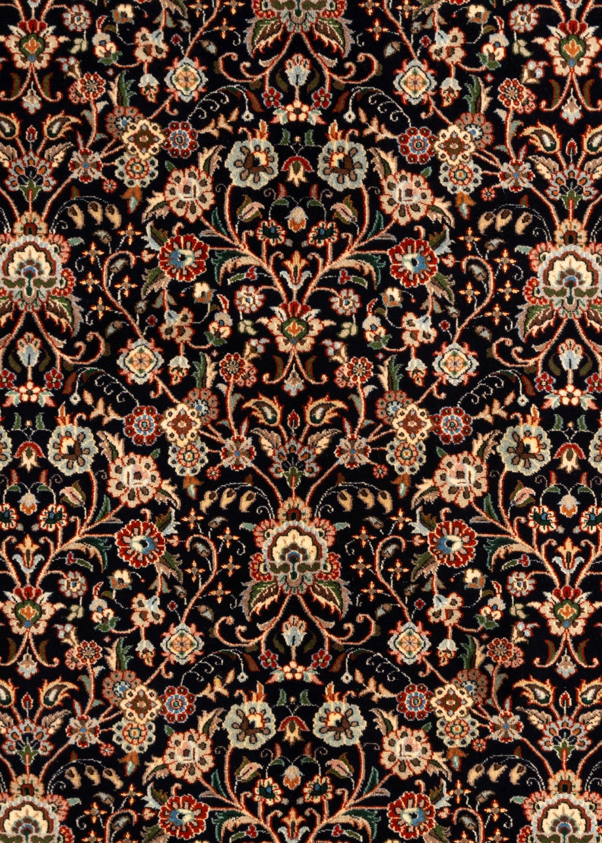 279 x 198 Moud