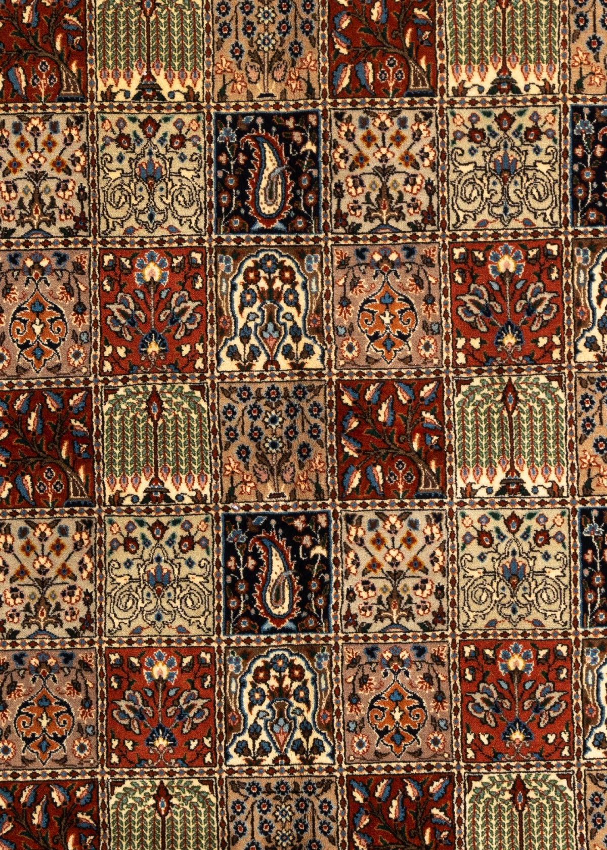 282 x 197 Moud