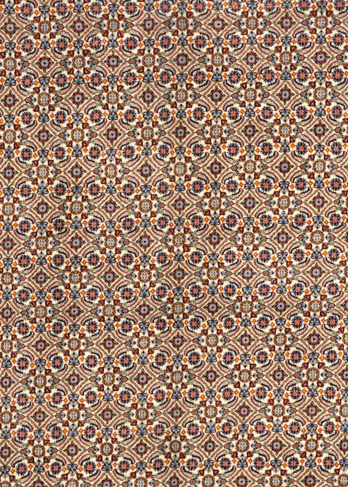 291 x 207 Moud