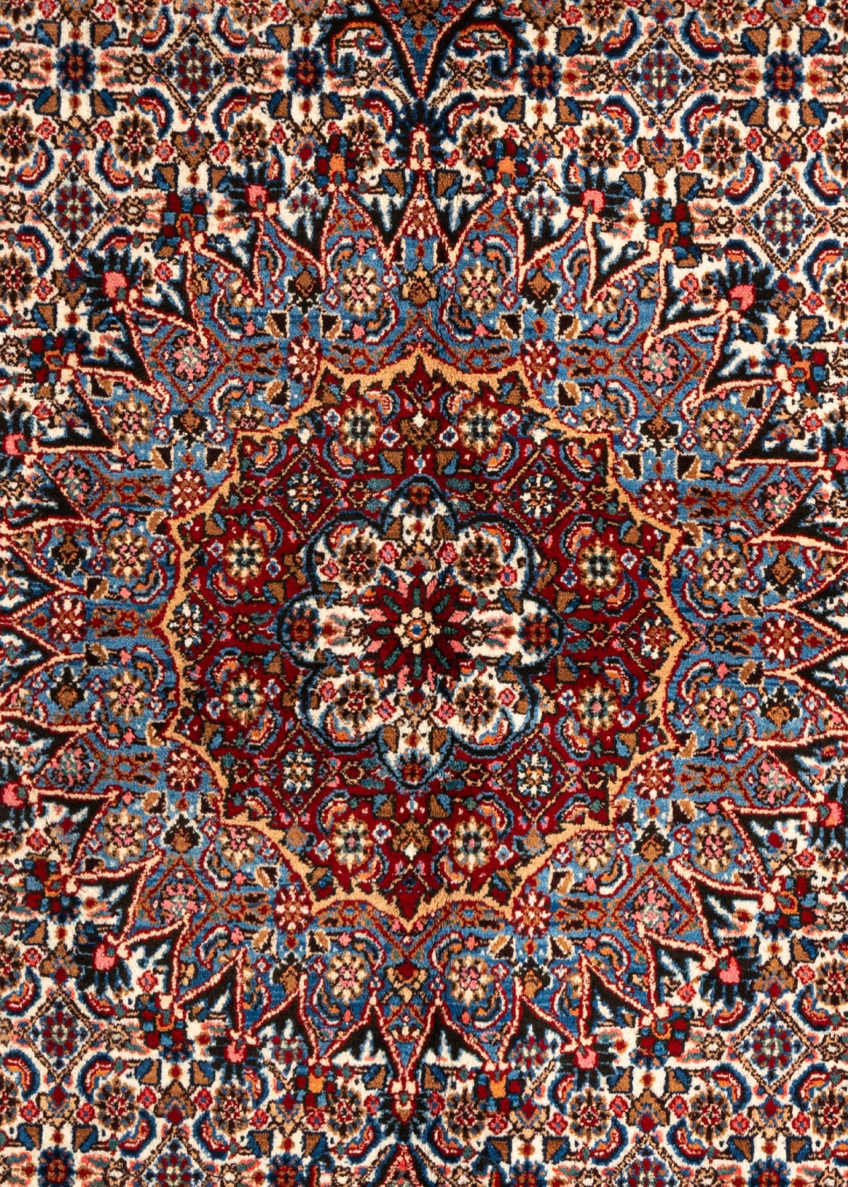 317 x 206 Moud