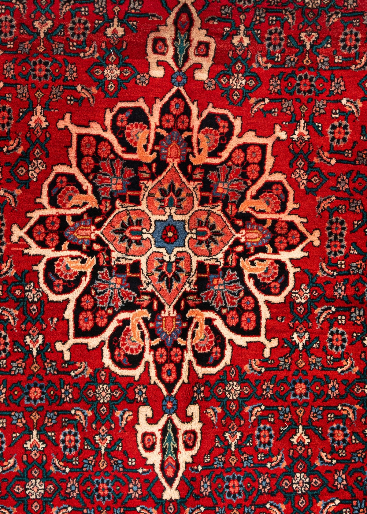 332 x 217 Dardjezin