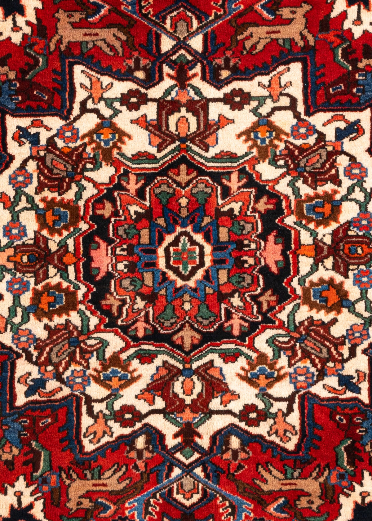 296 x 214 Dardjezin