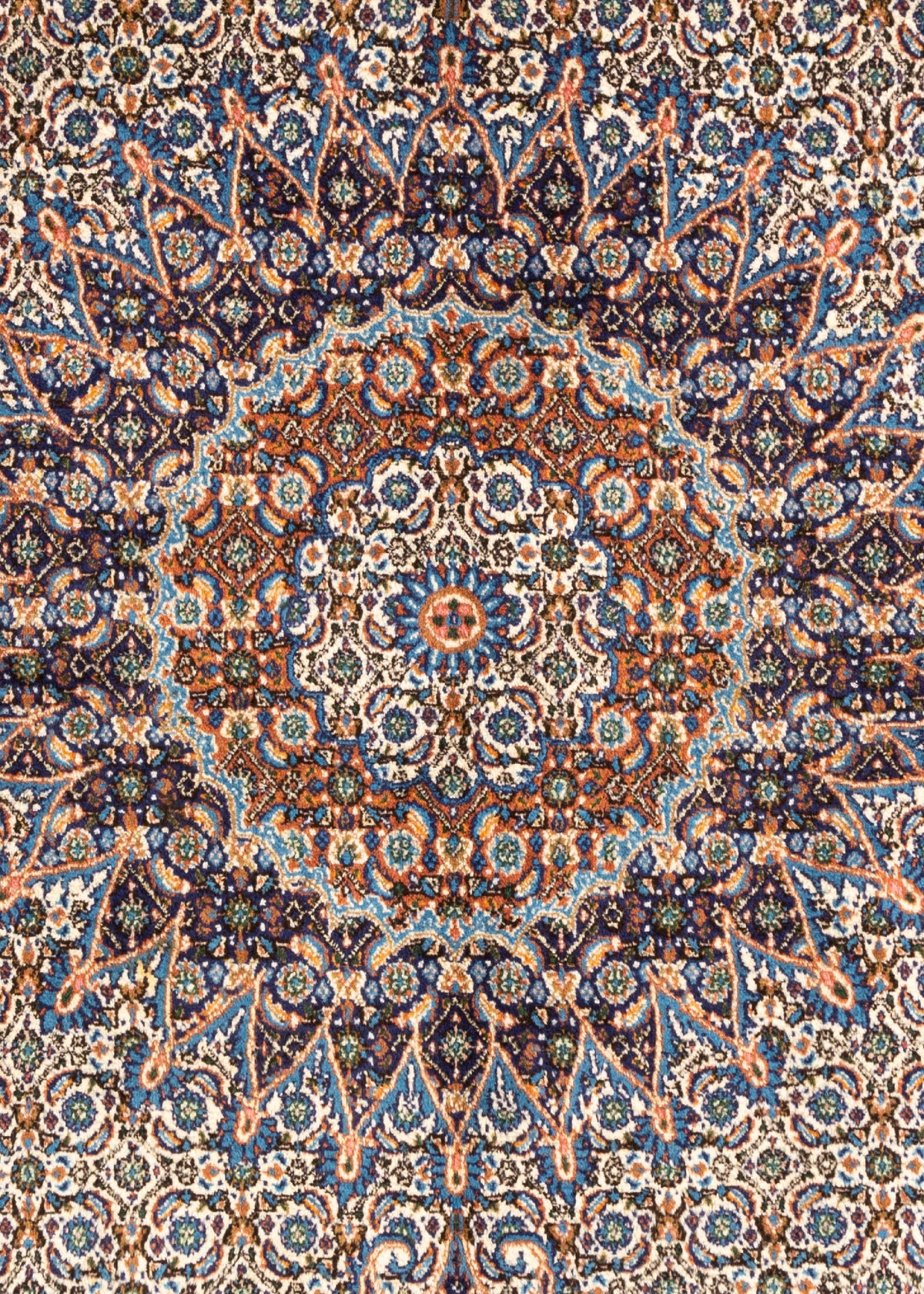 306x195 Moud