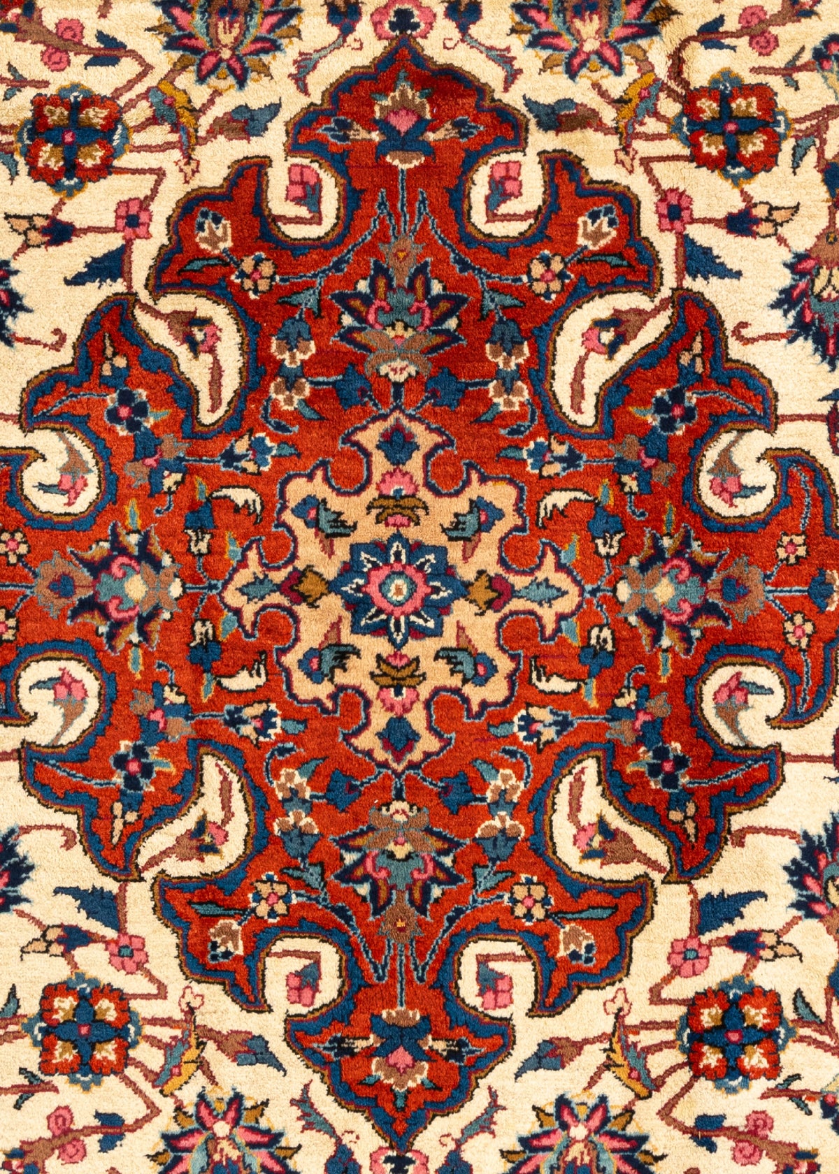 294 x 202 Meshed