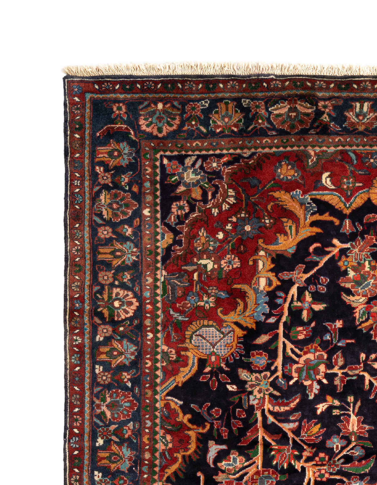 309 x 212 Mehraban