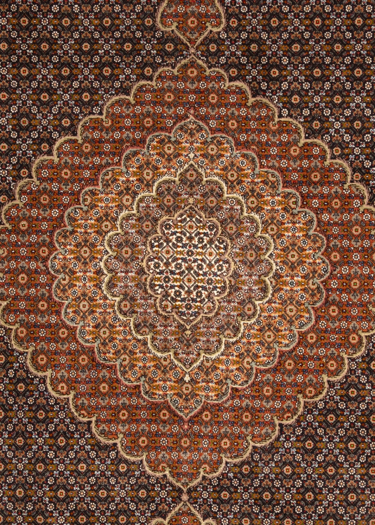 310x255 Mahi di Tabriz con seta