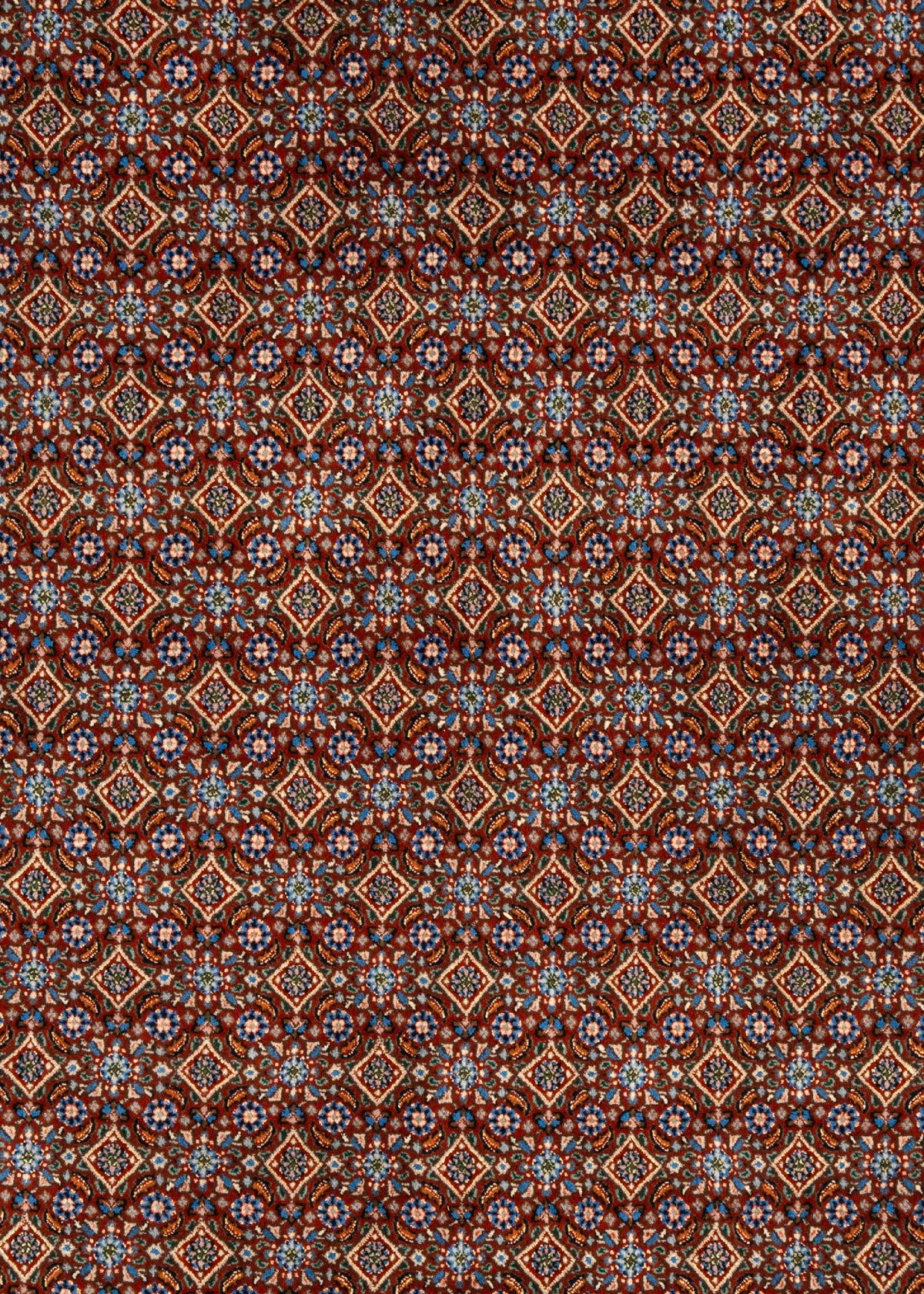 343 x 245 Moud