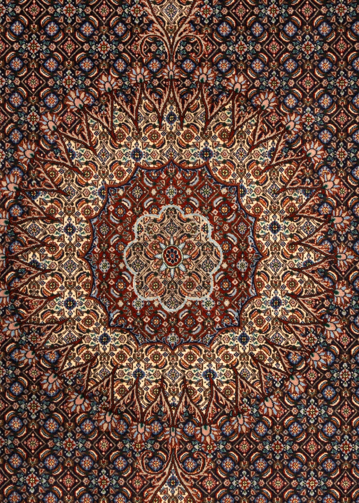 345 x 248 Moud