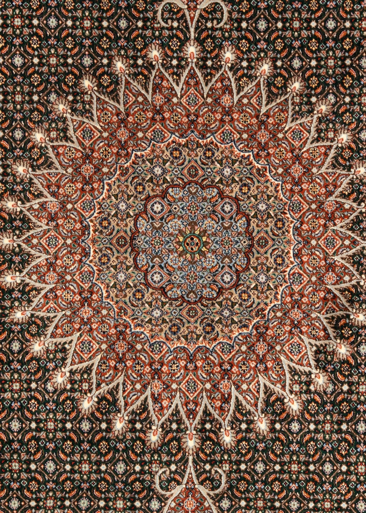 342 x 245 Moud