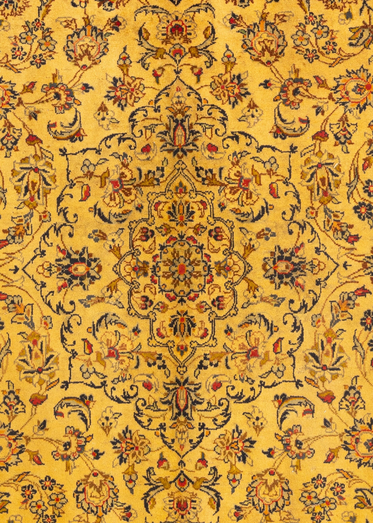 338 x 242 Keshan