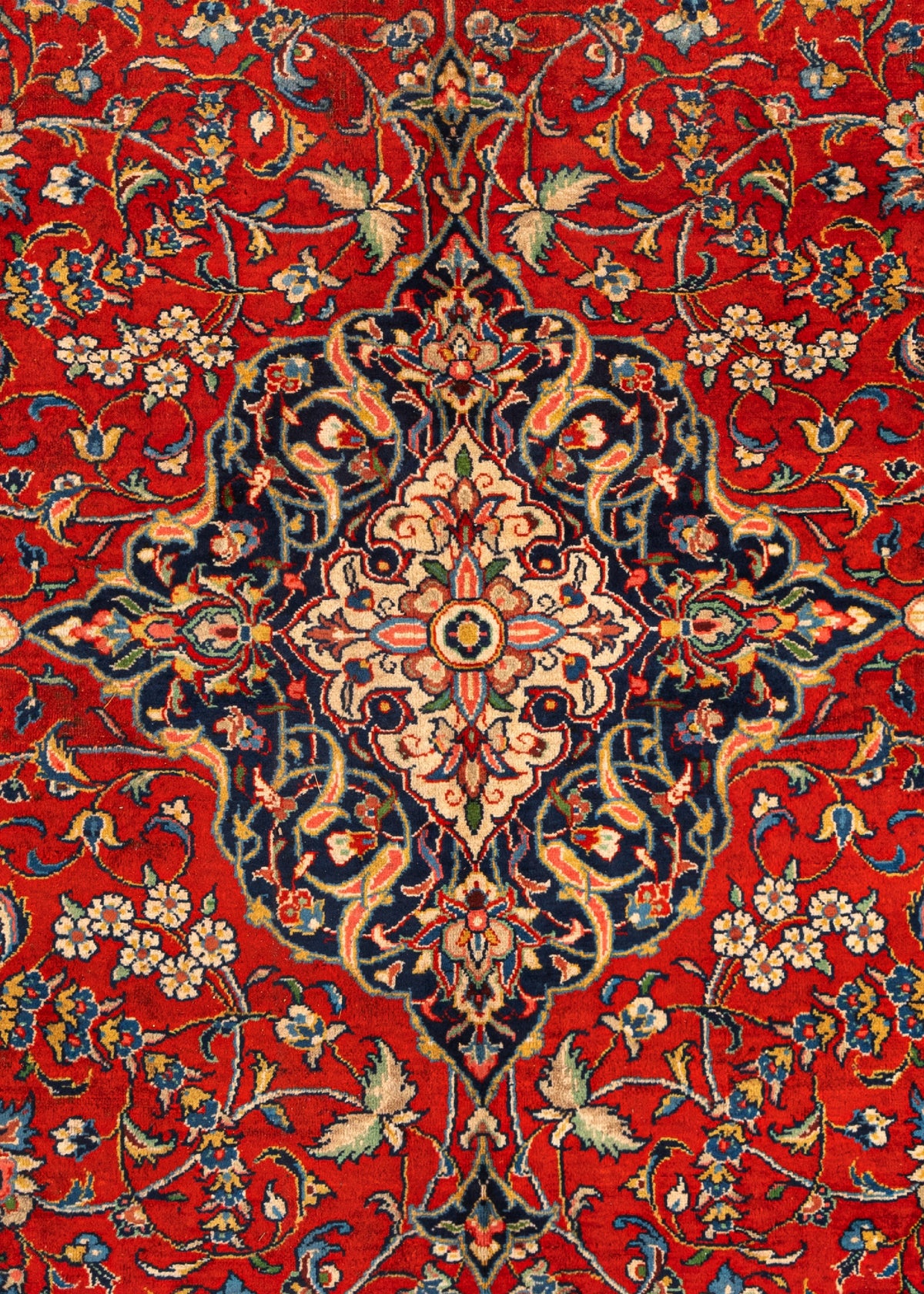 340 x 235 Saruk