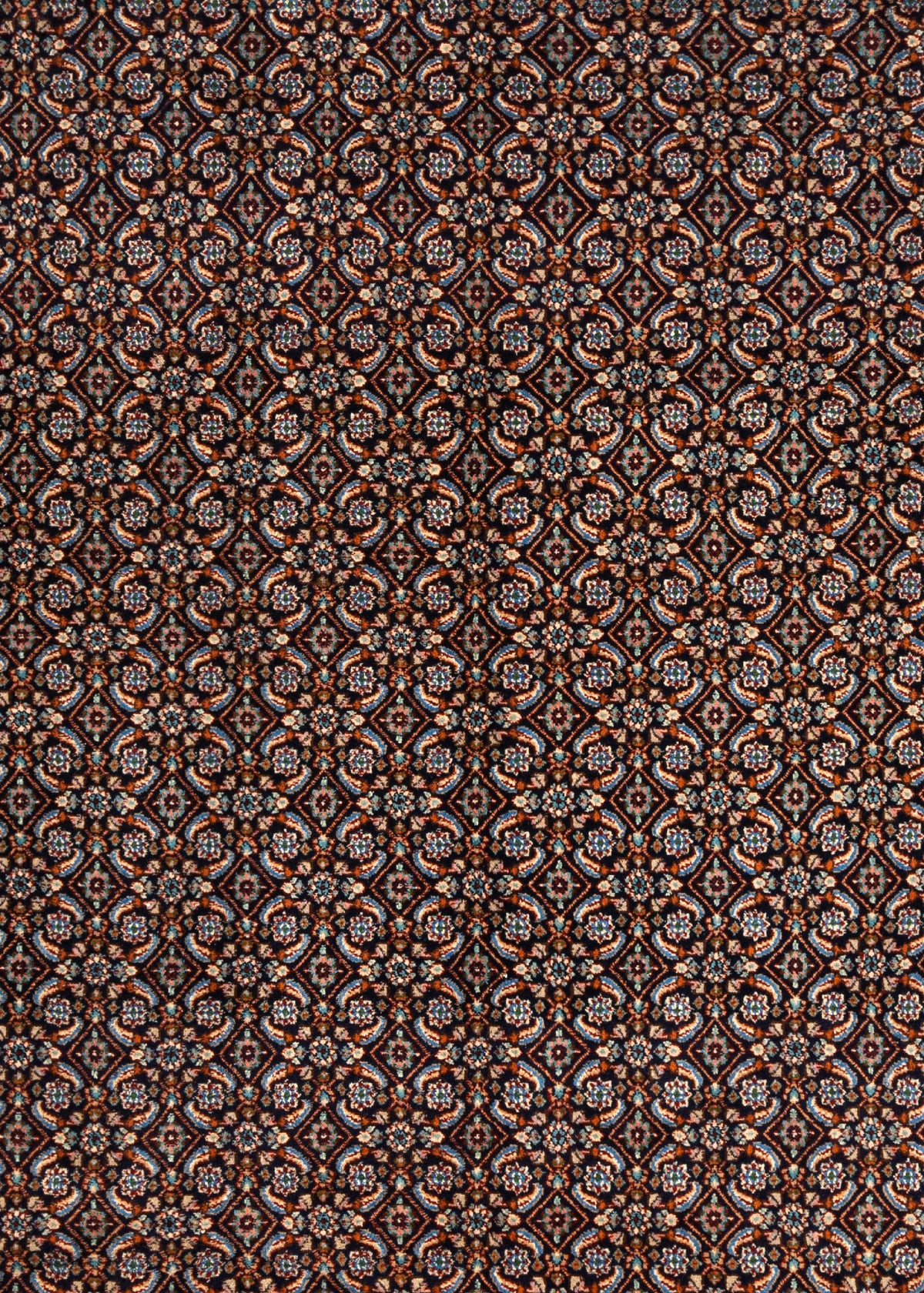345 x 245 Moud