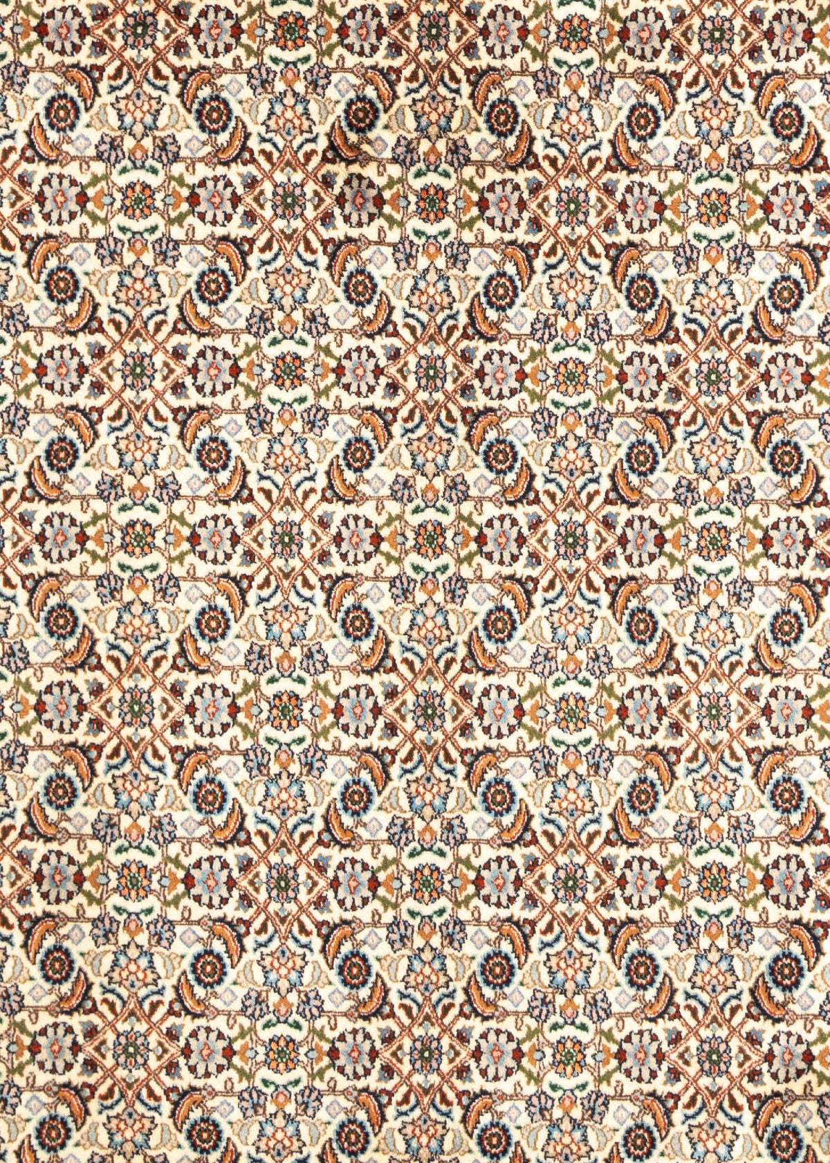 345 x 246 Moud