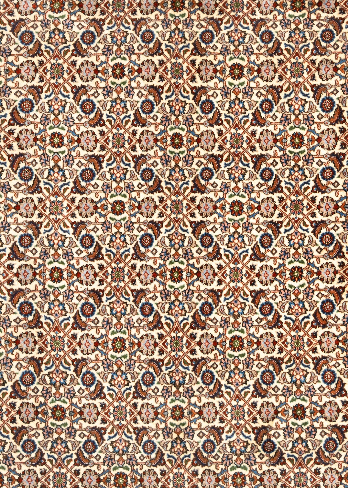 346 x 245 Moud
