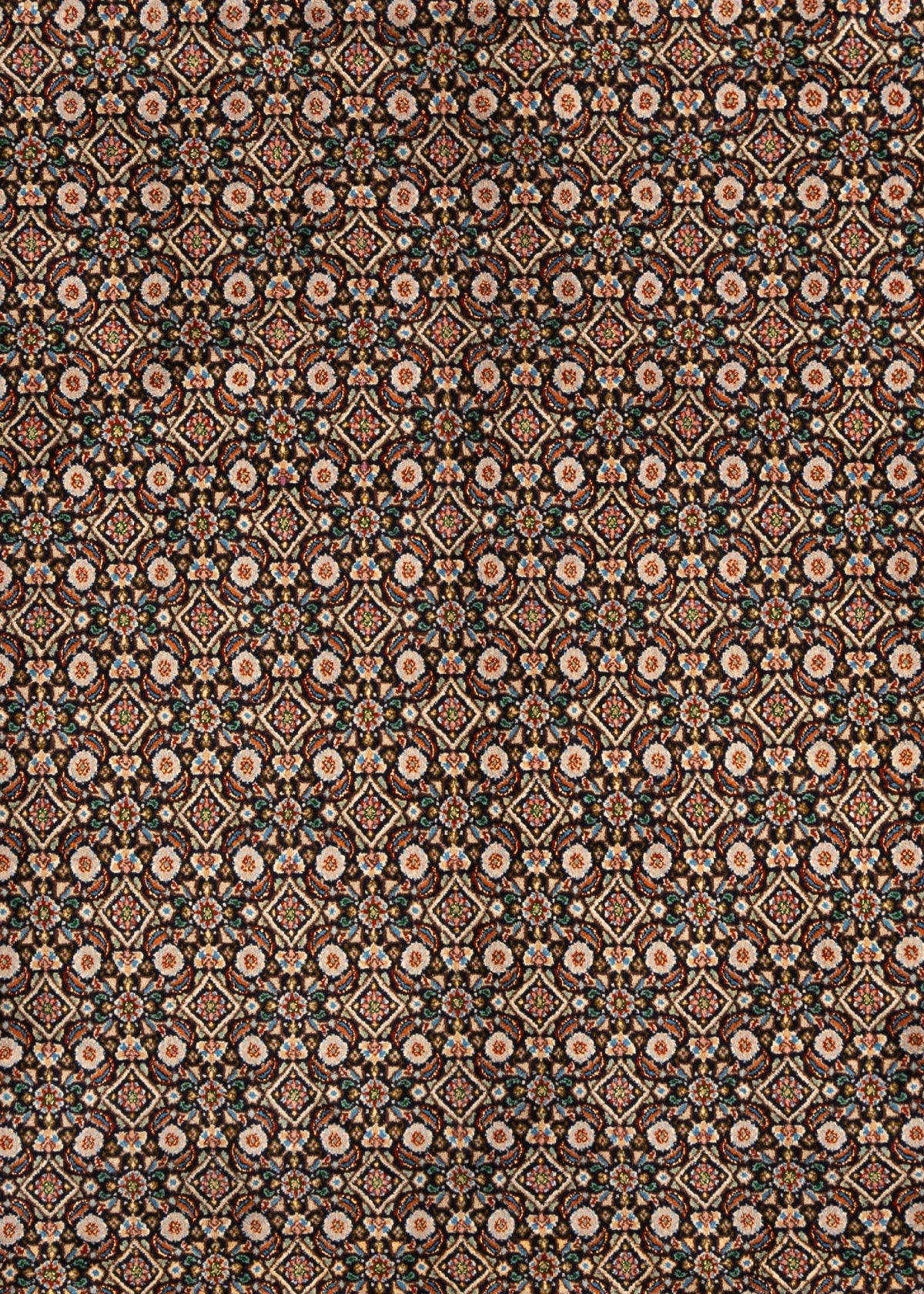 340x250 Moud