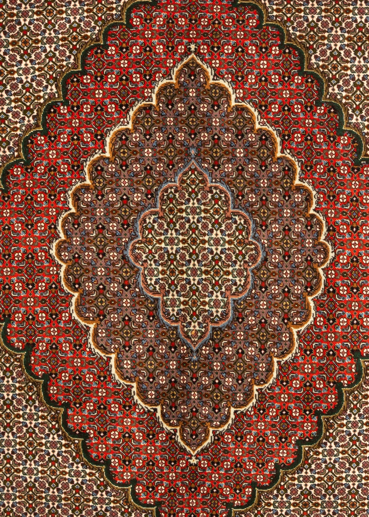 339x253 Tabriz Mahi