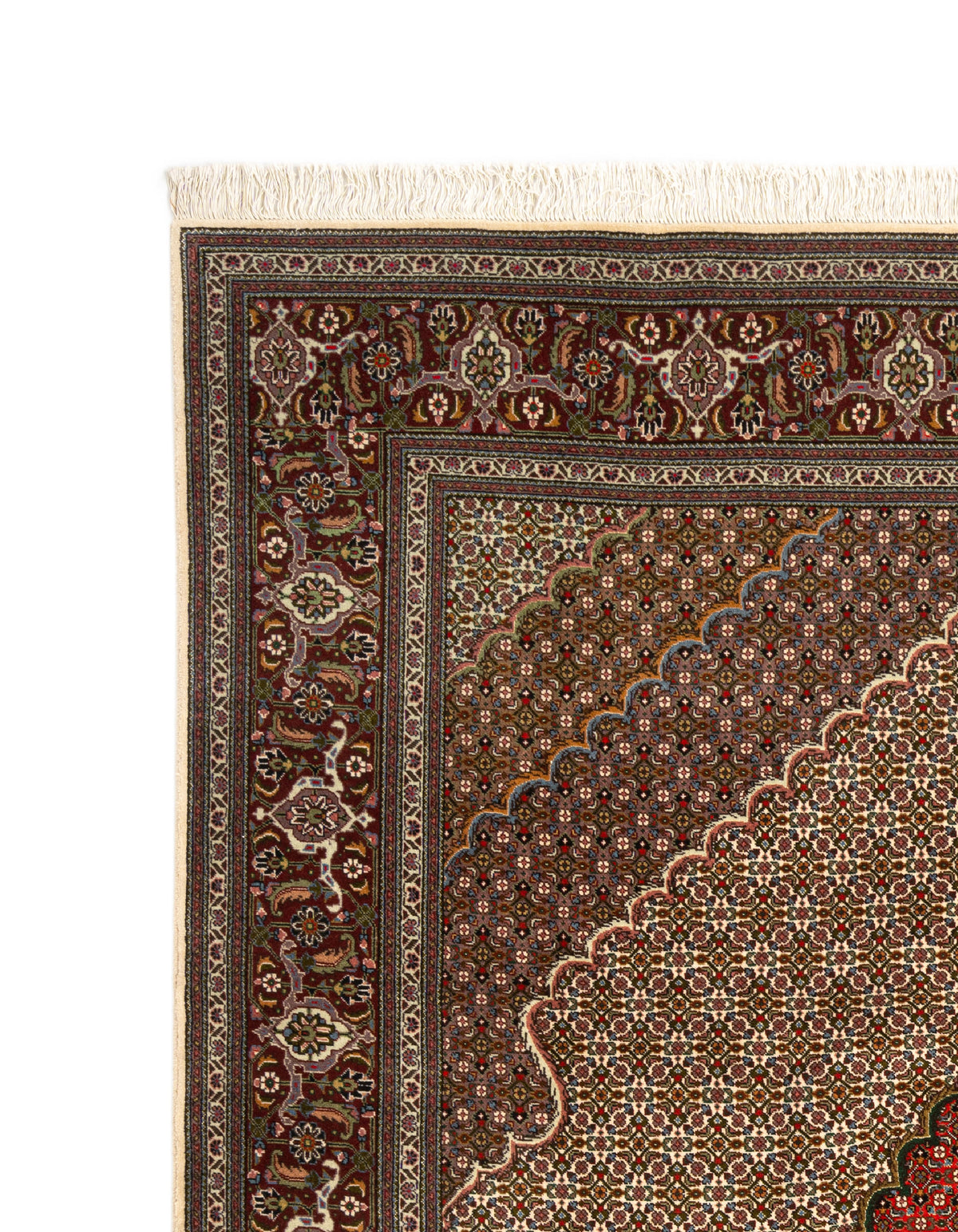 339x253 Tabriz Mahi