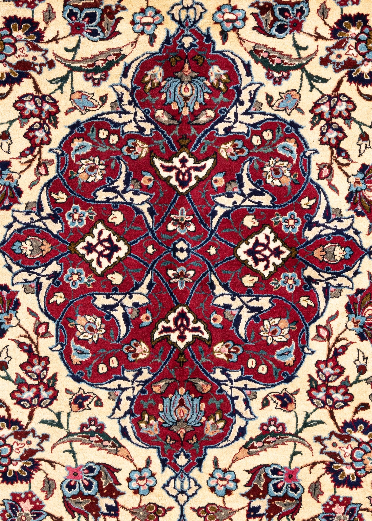 338 x 251 Meshed