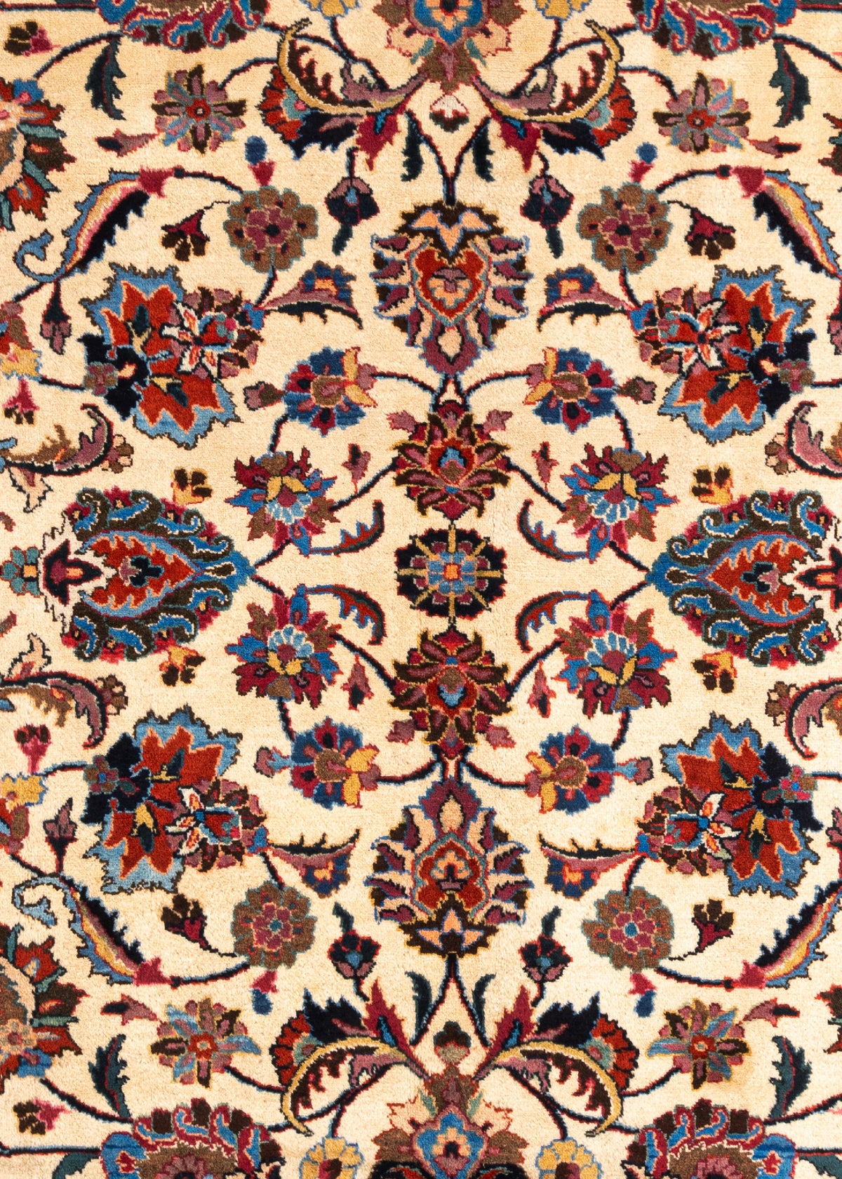338 x 243 Kirman