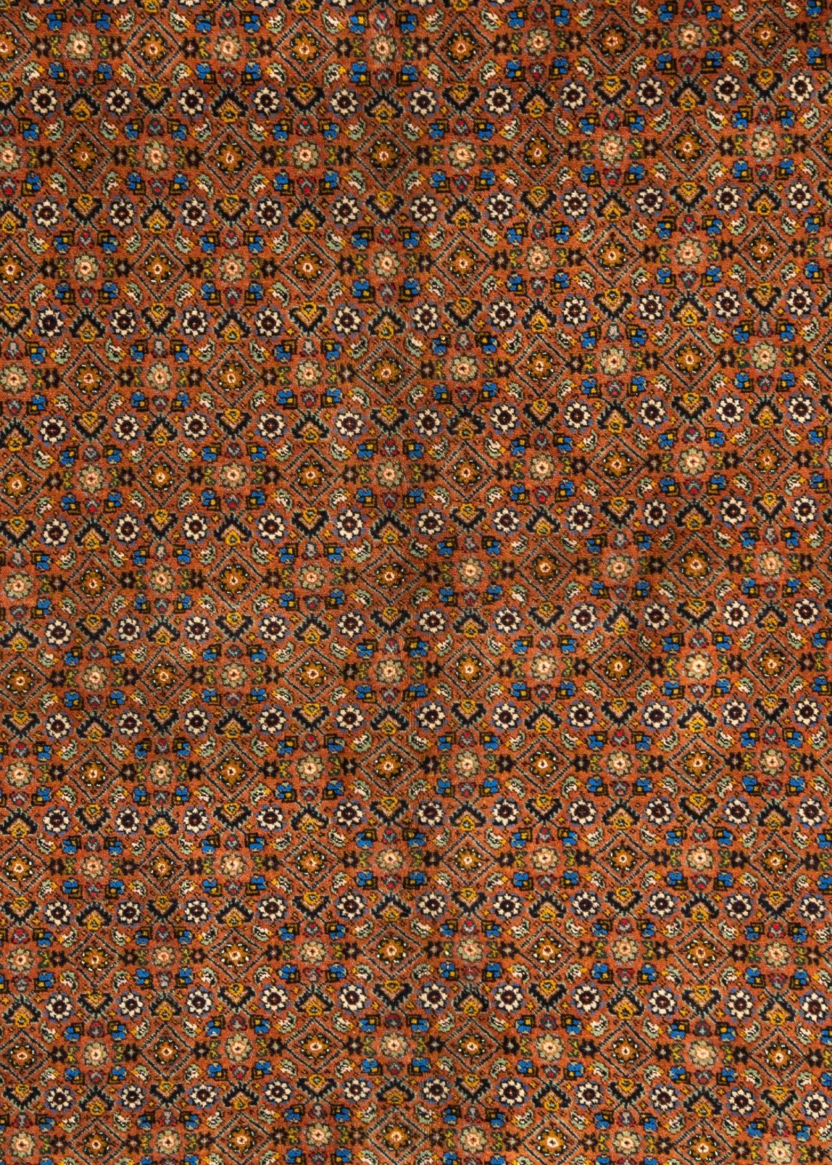 290 x 250 Moud