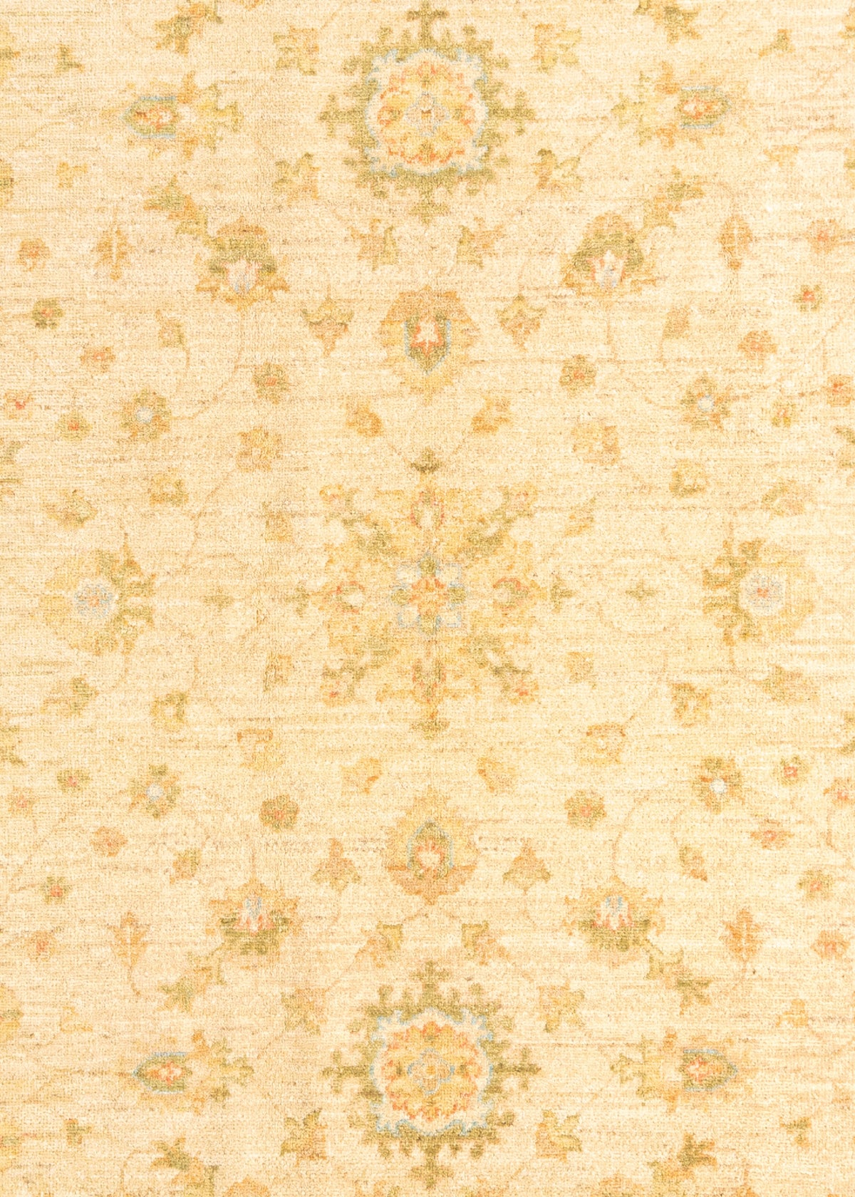 251x201 Ziegler