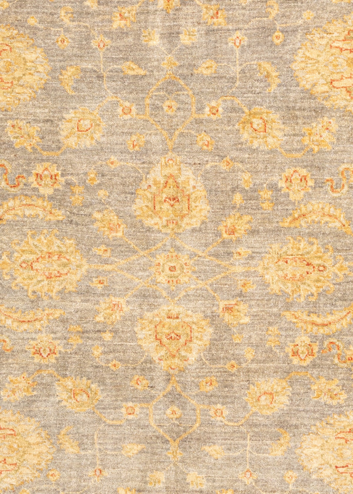 235x200 Ziegler