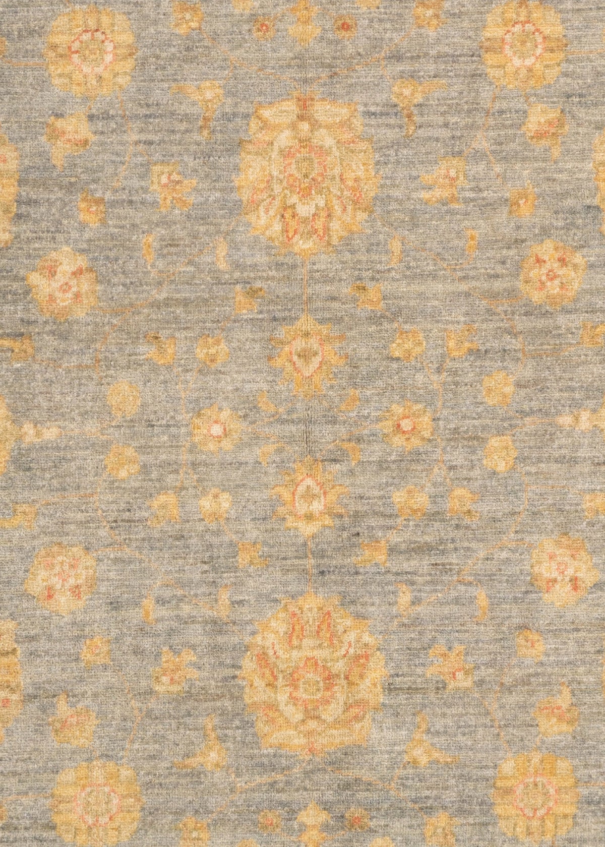 241 x 170 Ziegler