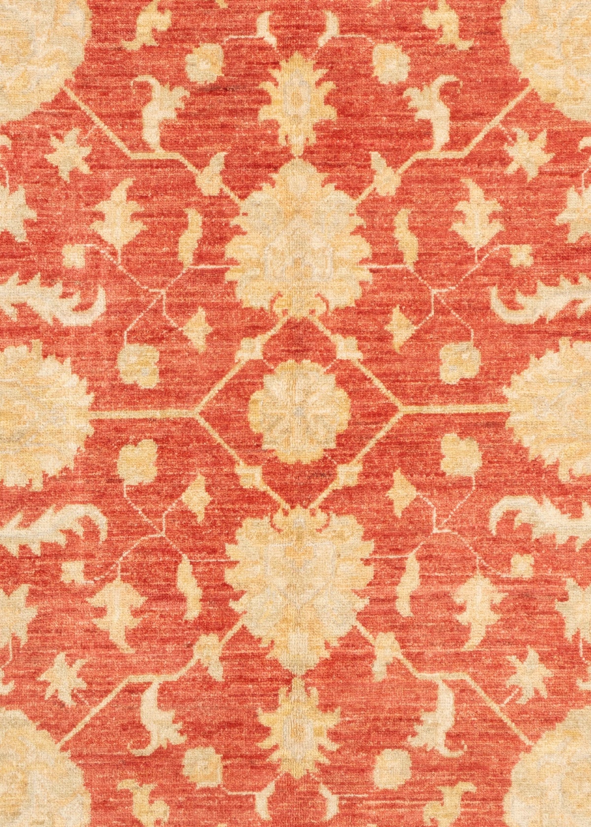 240 x 170 Ziegler