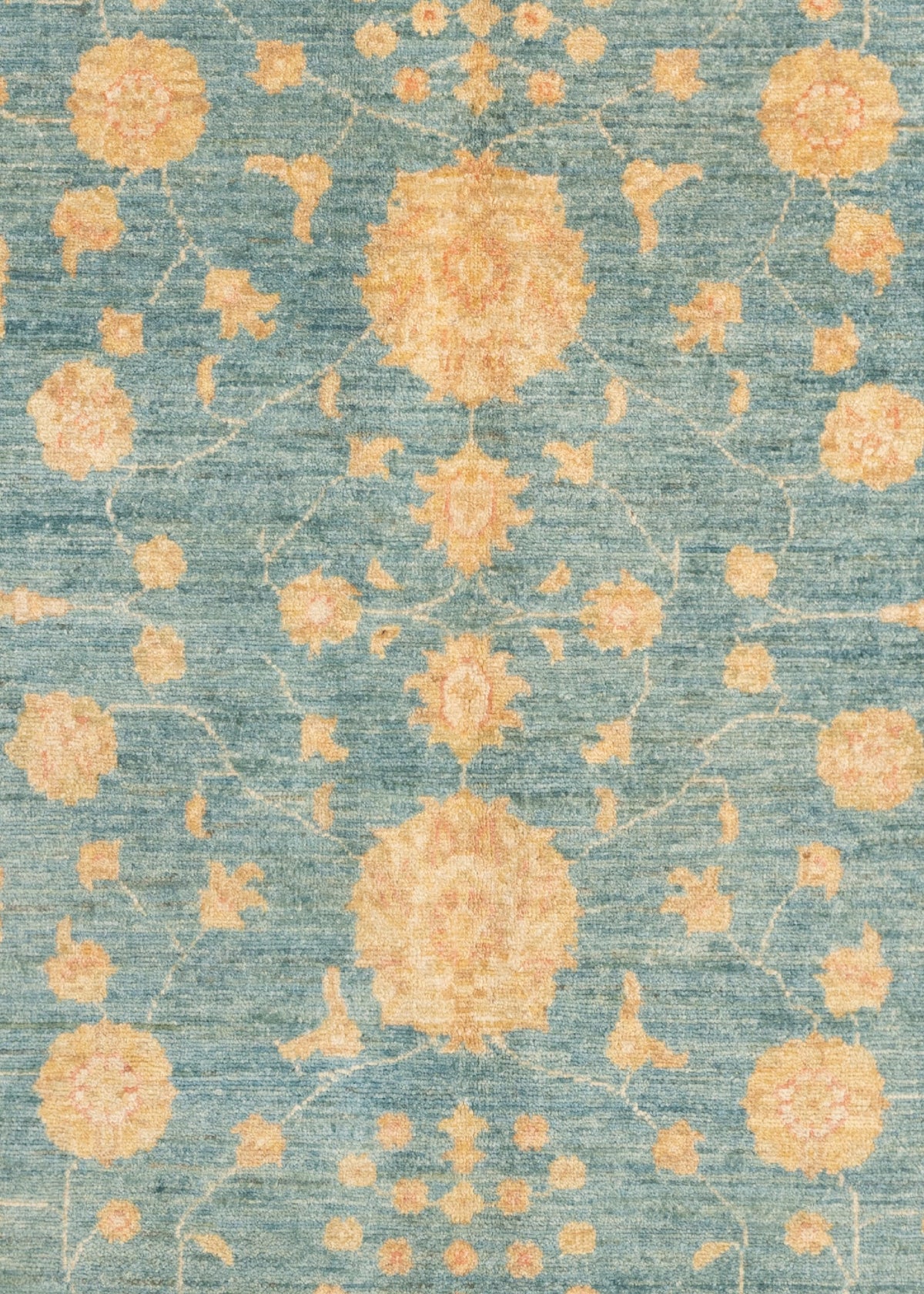 228 x 174 Ziegler