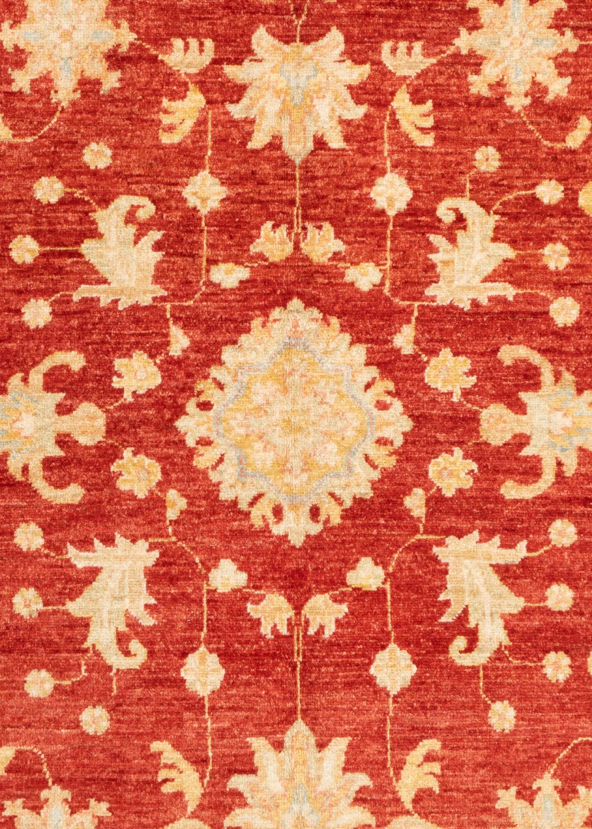246 x 171 Ziegler