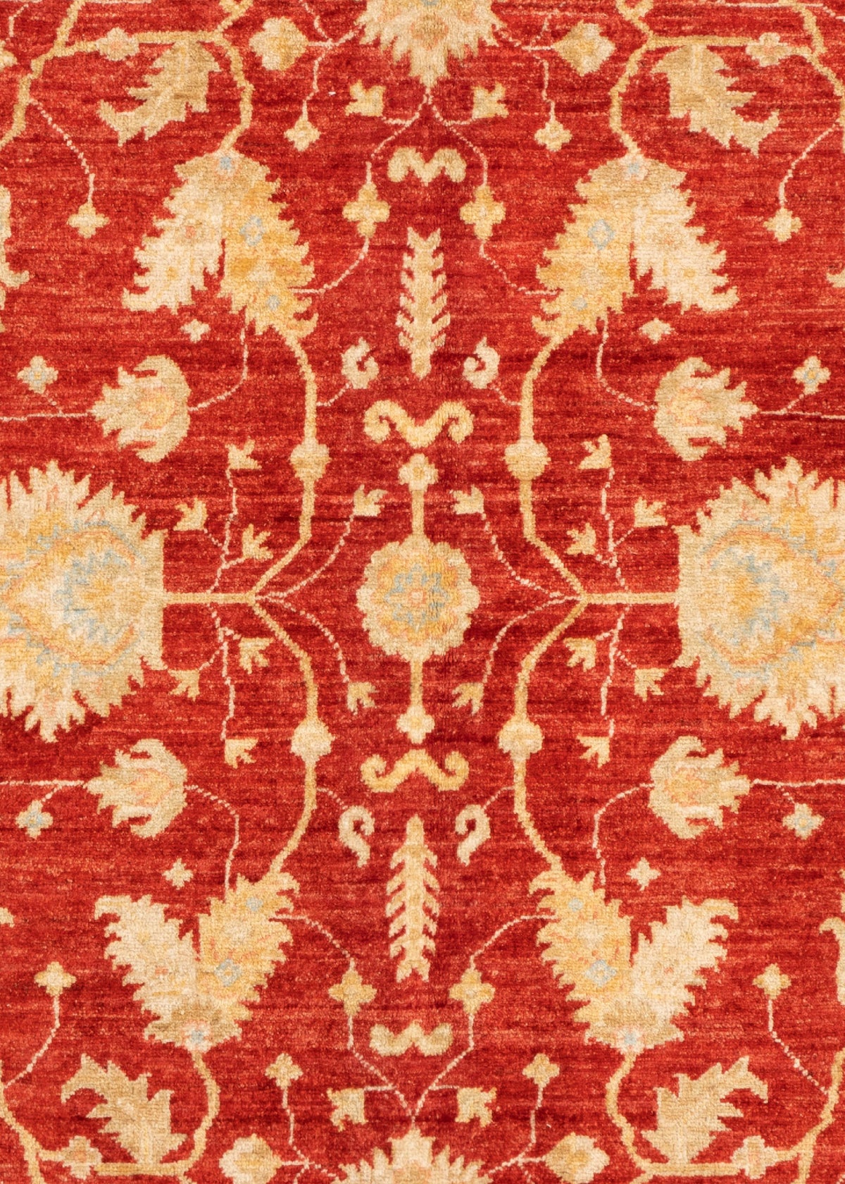 236 x 171 Ziegler