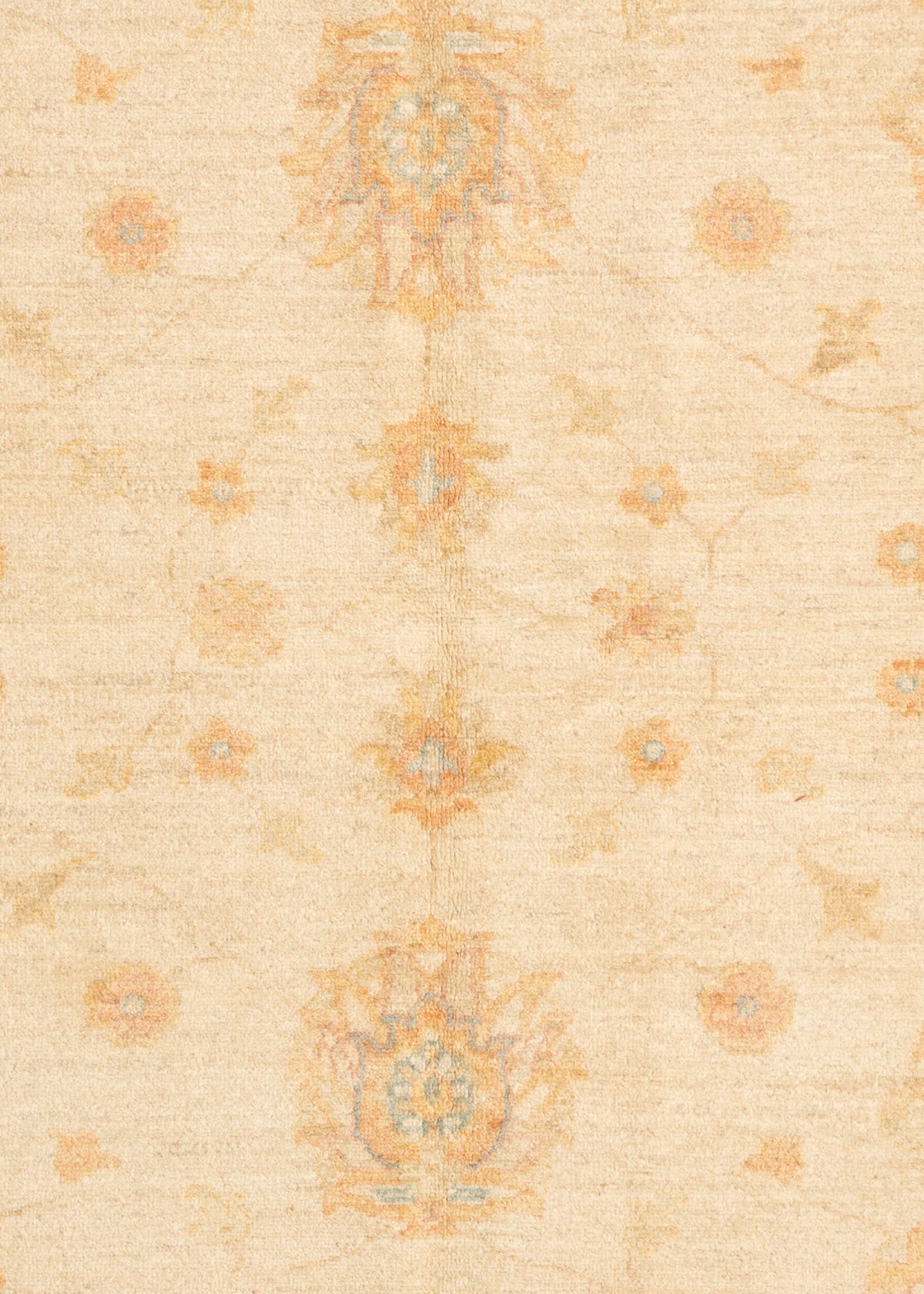 241x177 Ziegler