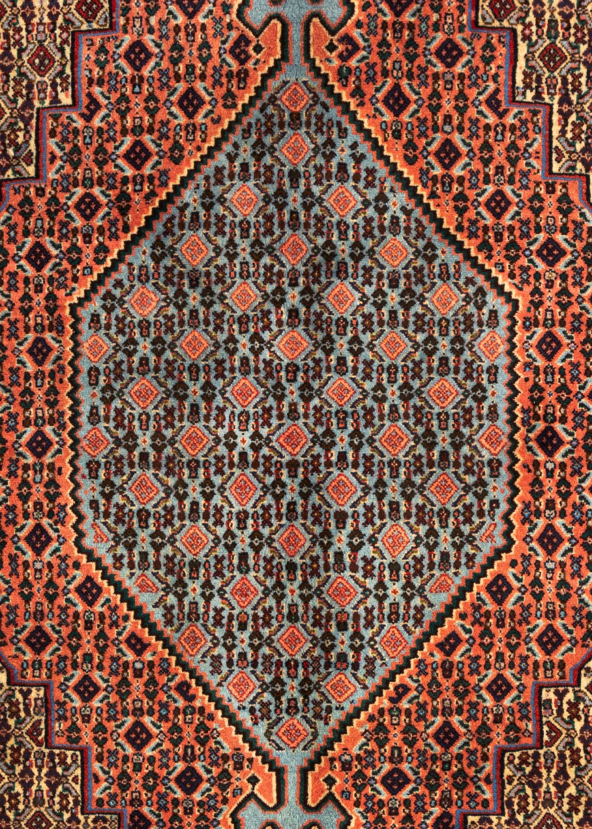 297 x 210 Abadeh