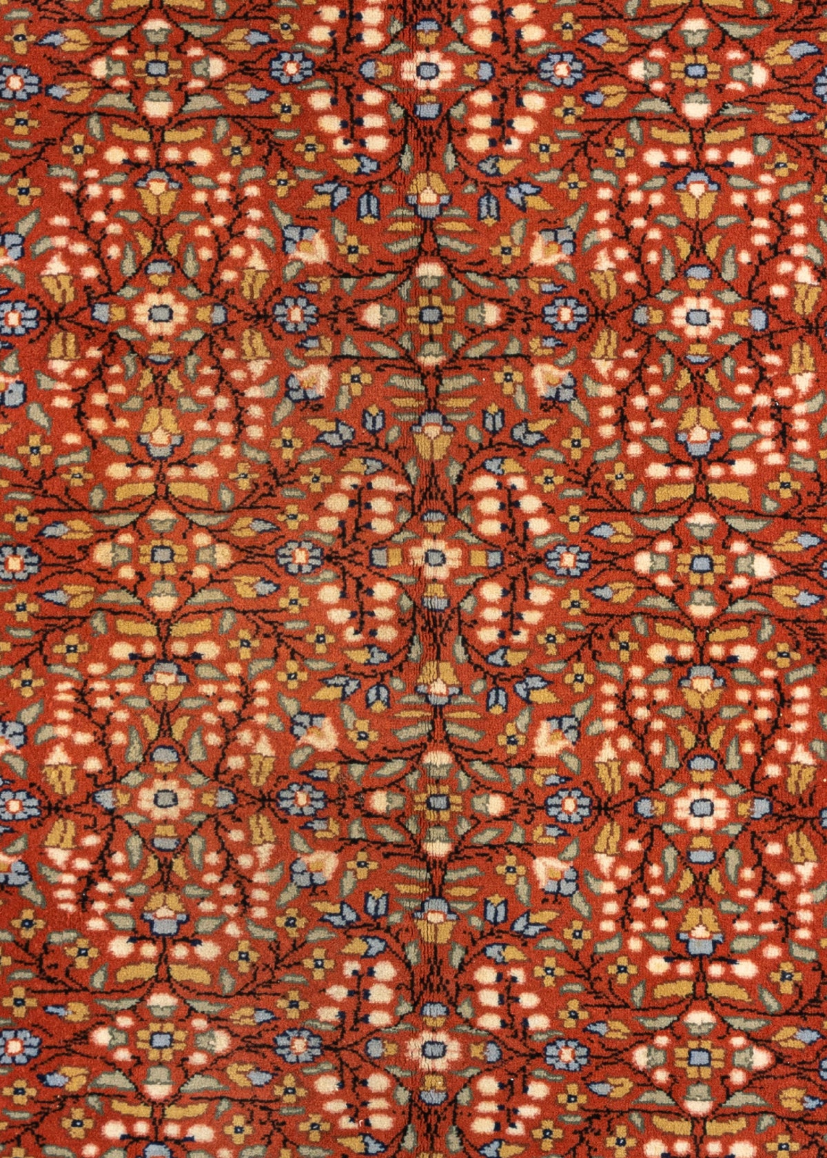 308x200 Macedone