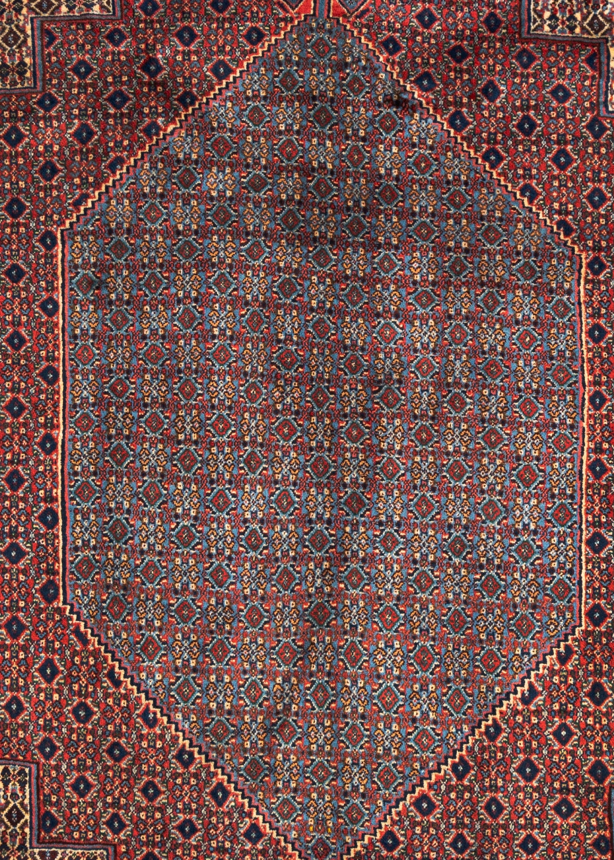 333 x 247 Senneh