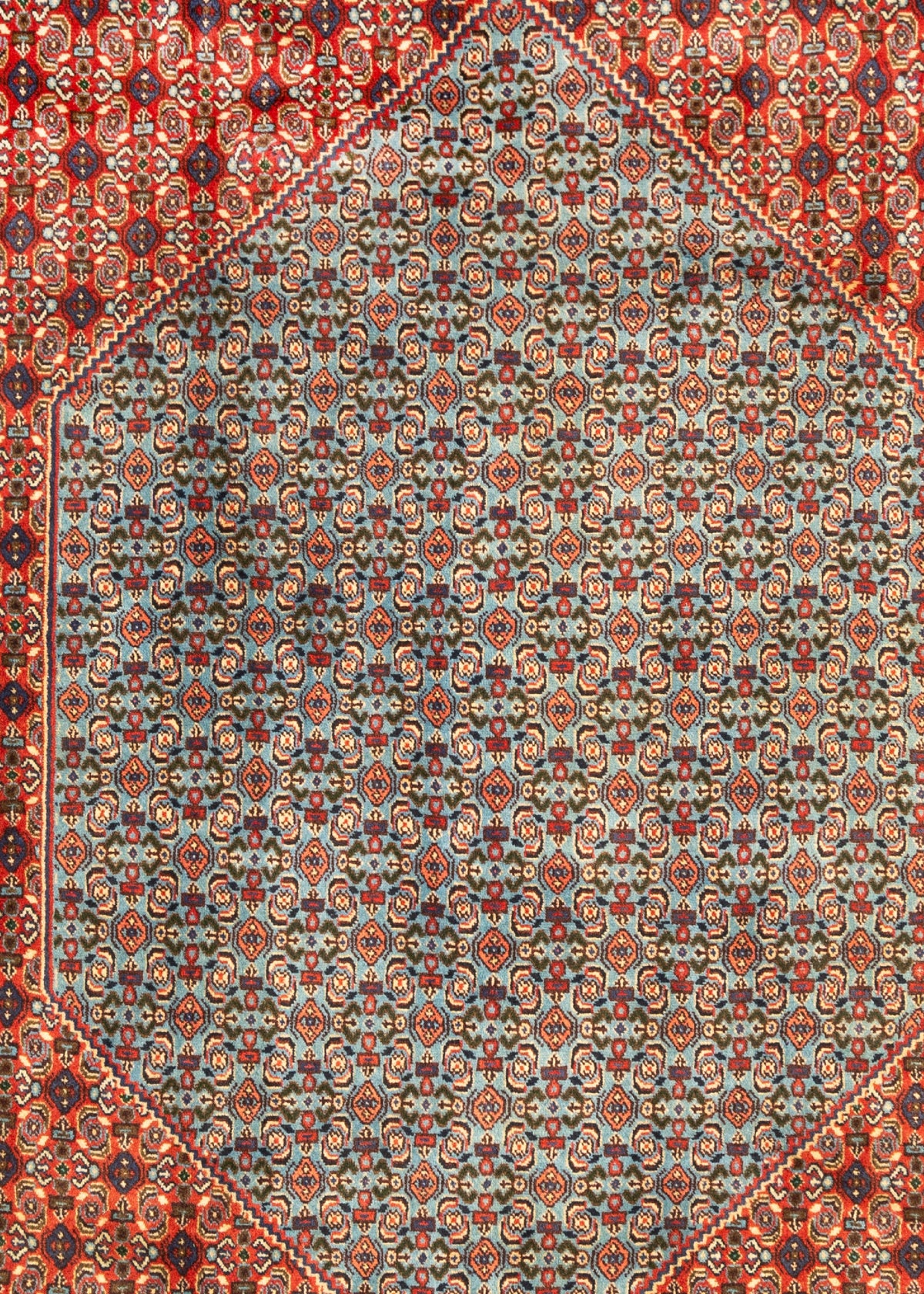 336 x 252 Senneh