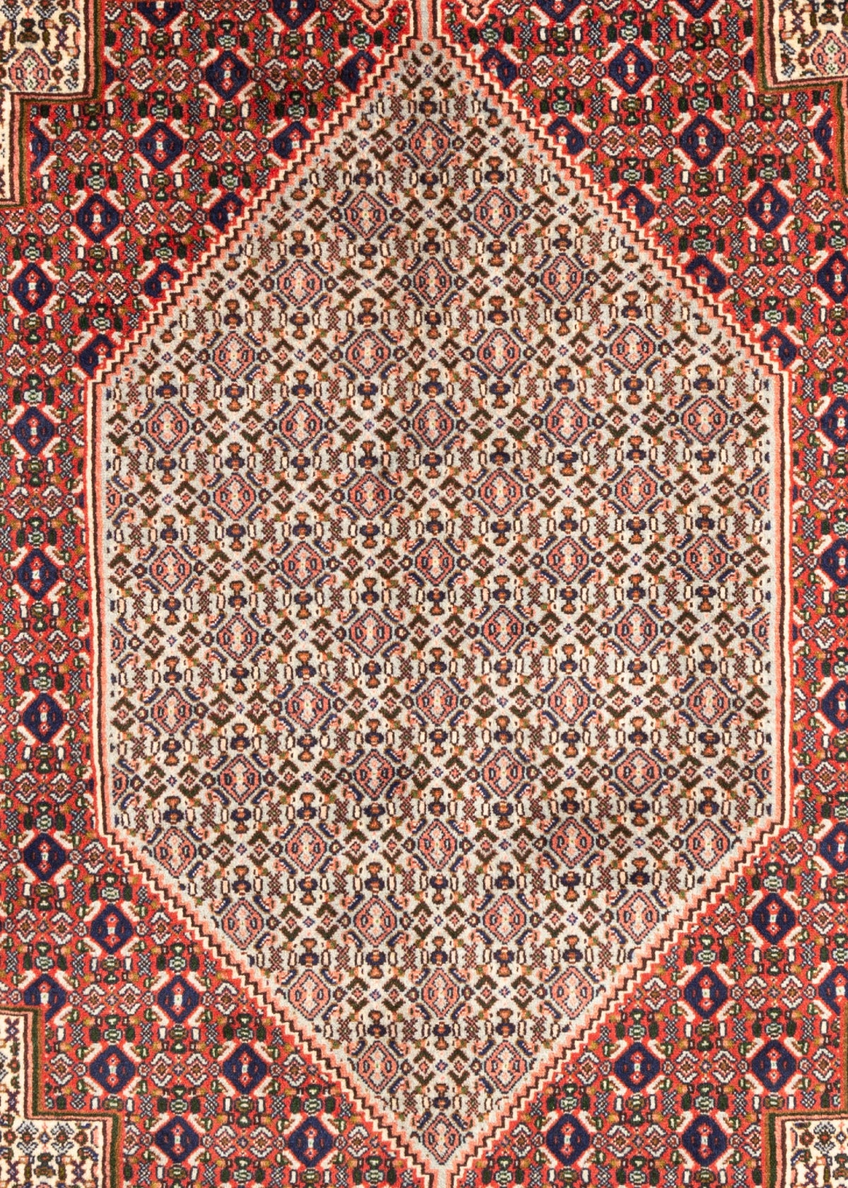 356 x 249 Senneh
