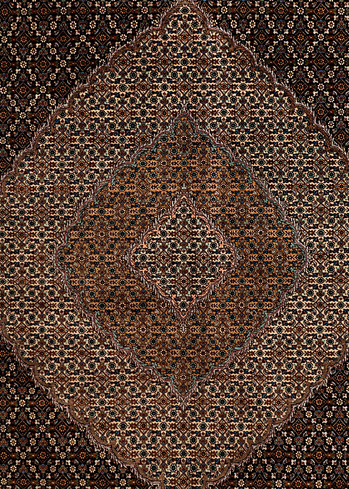 401x296 Mahi di Tabriz con seta