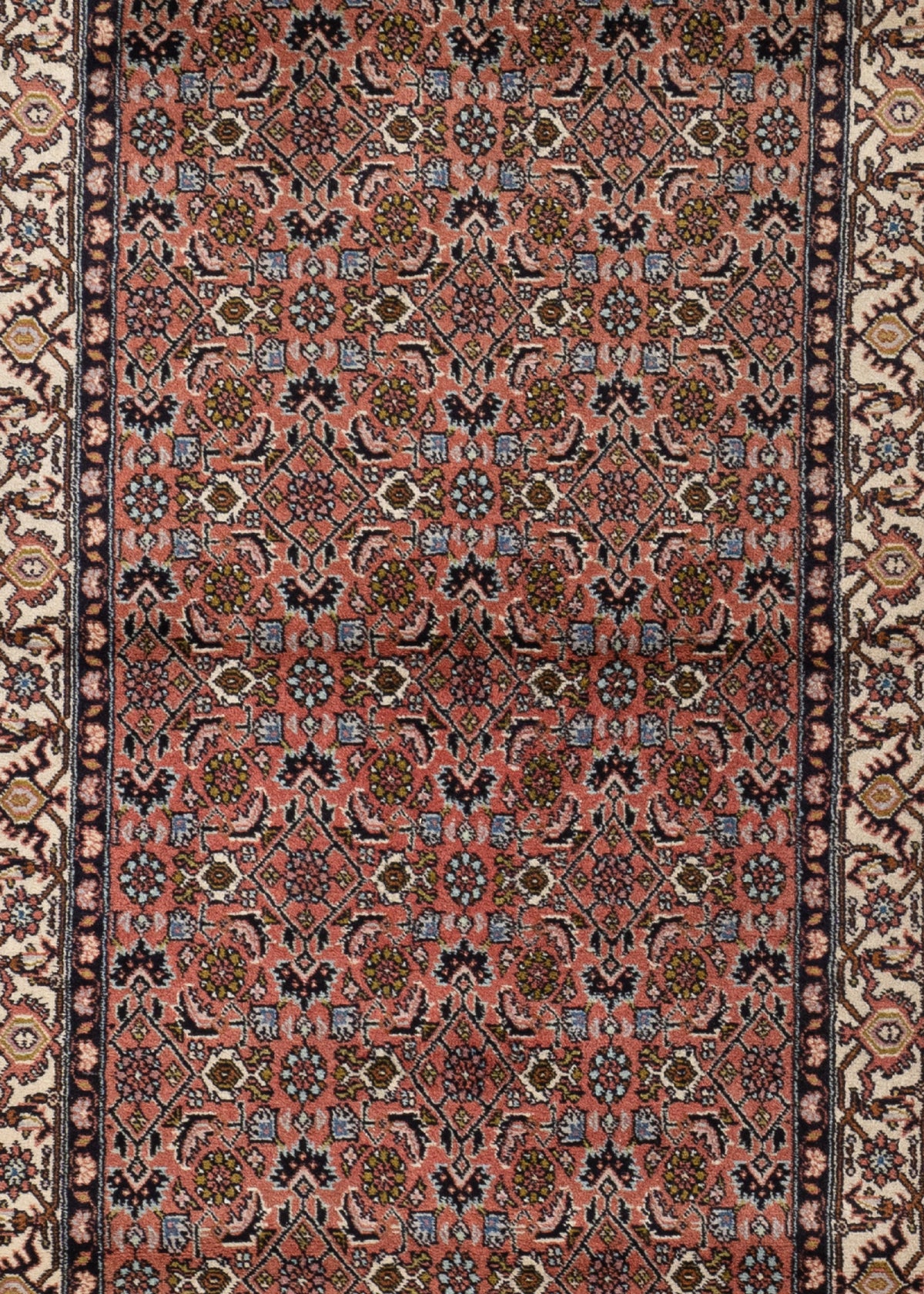 280 x 82 Bidjar