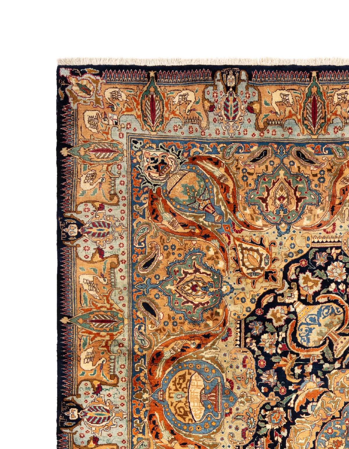 383 x 300 Kashmar