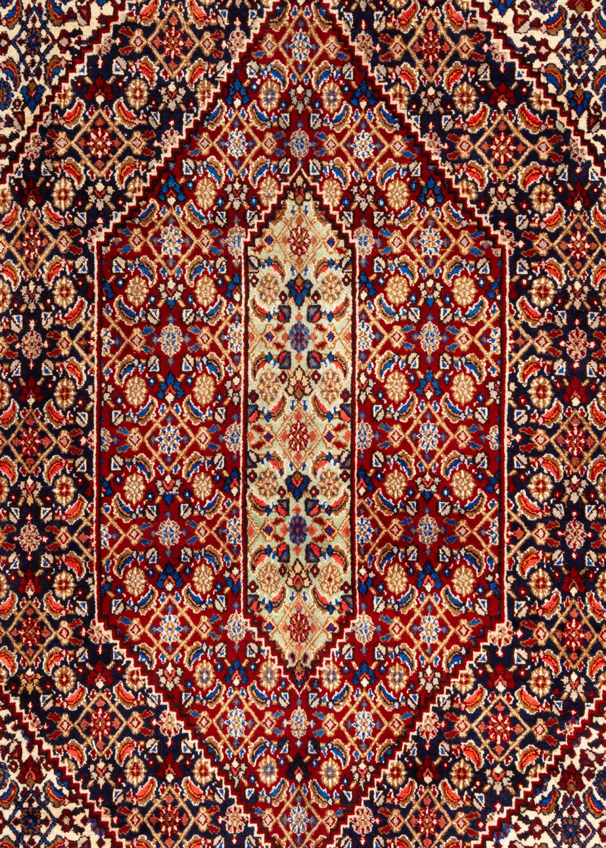 362 x 266 Moud