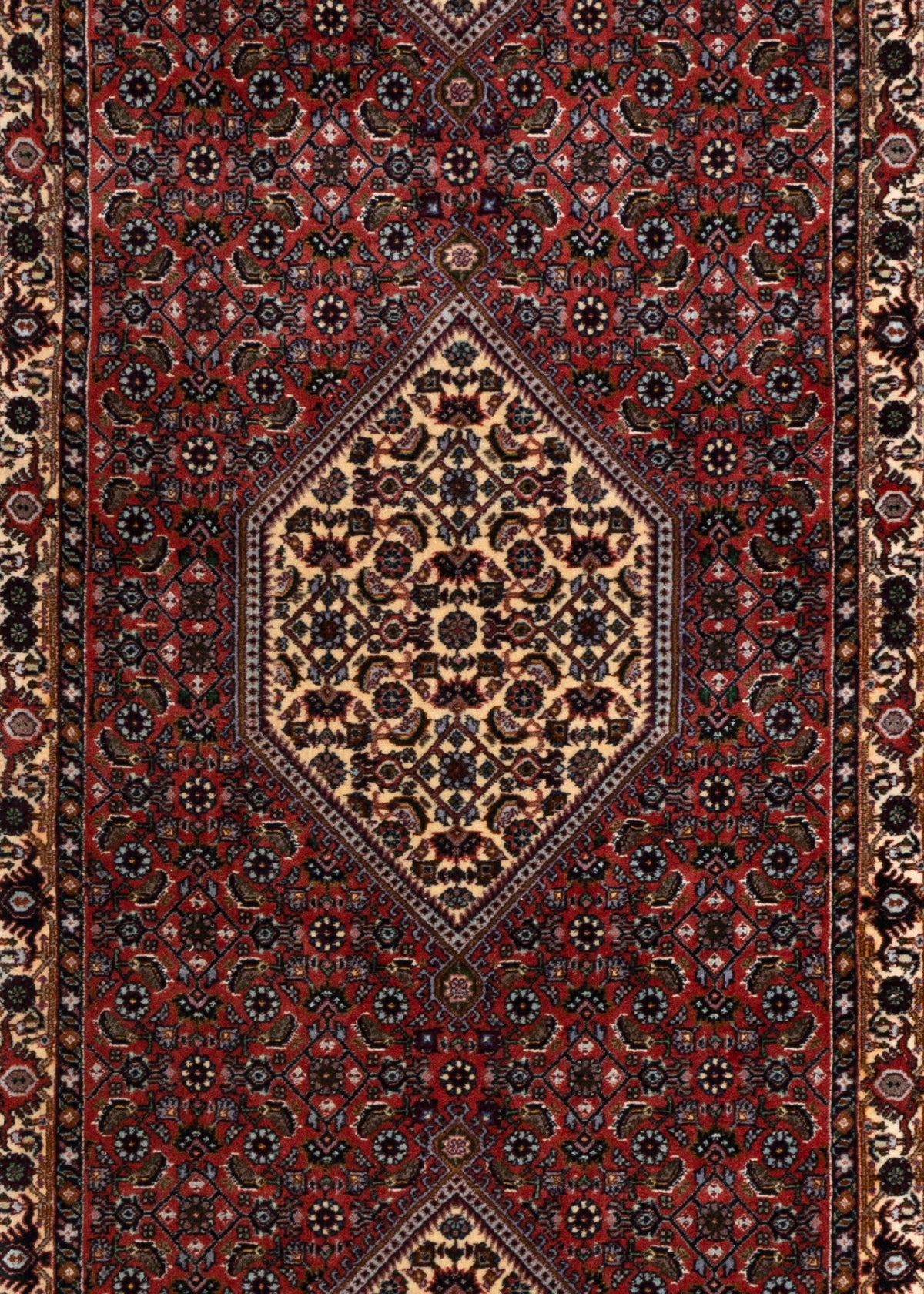 214 x 75 Bidjar fein