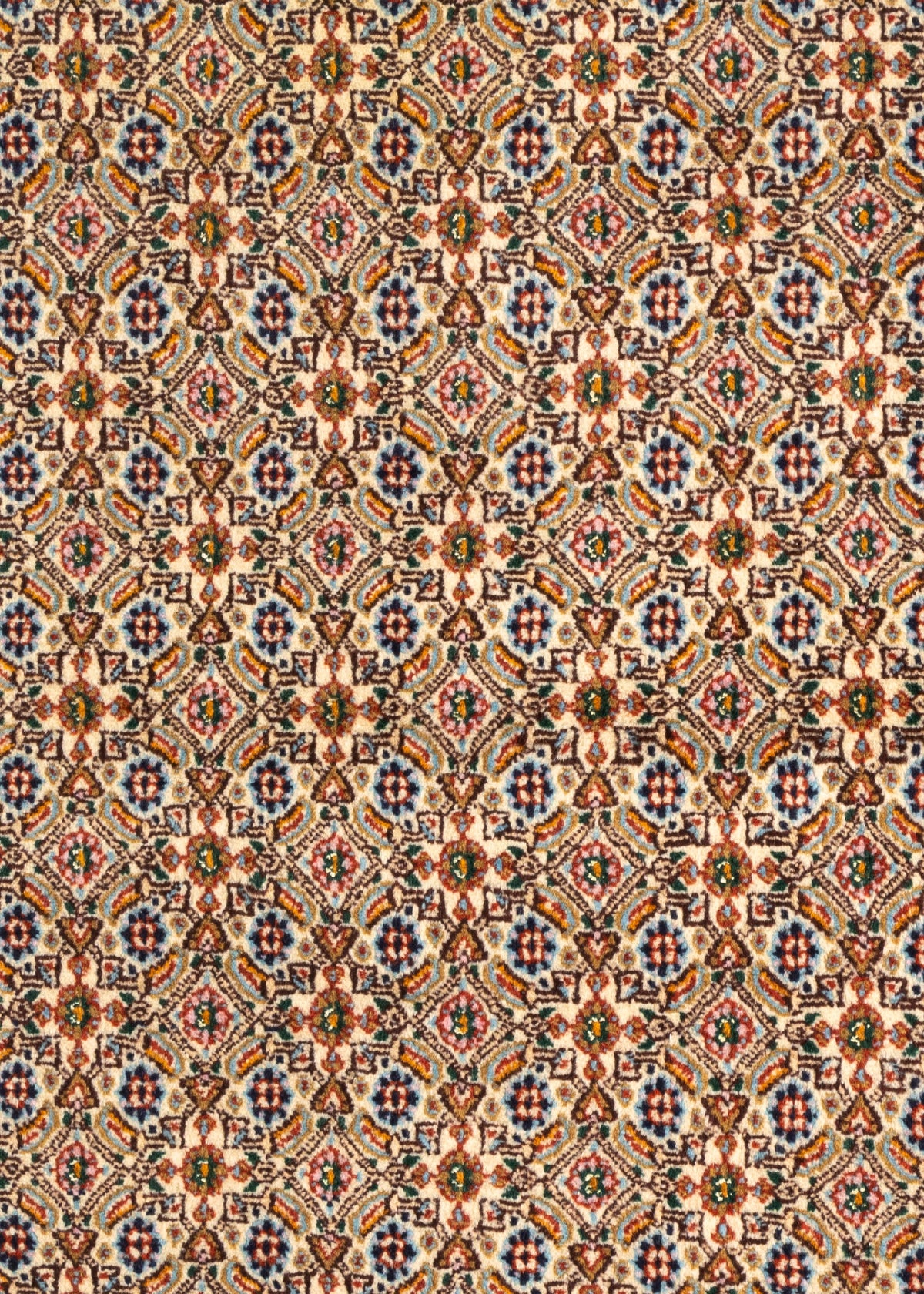 146x98 Moud