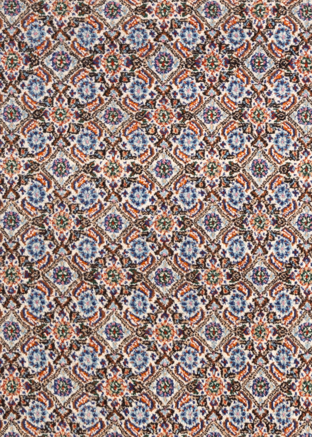 151x106 Moud