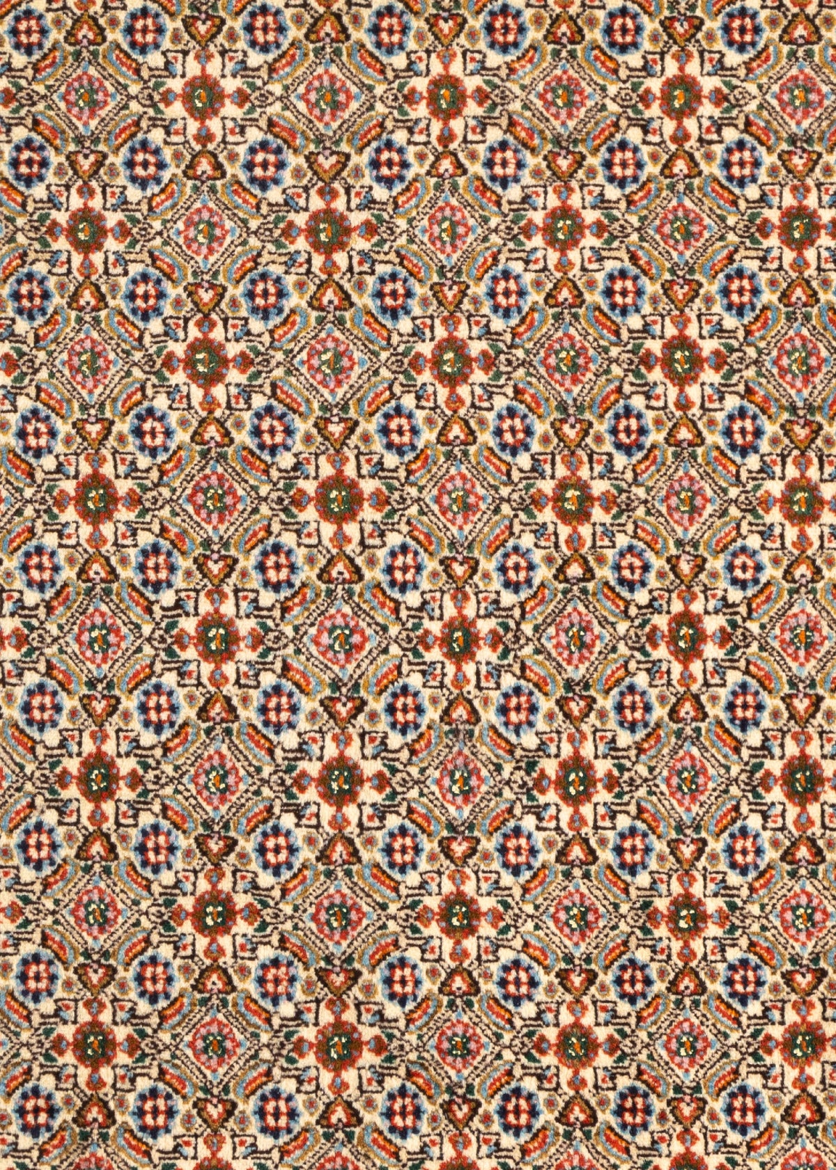 143 x 100 Moud