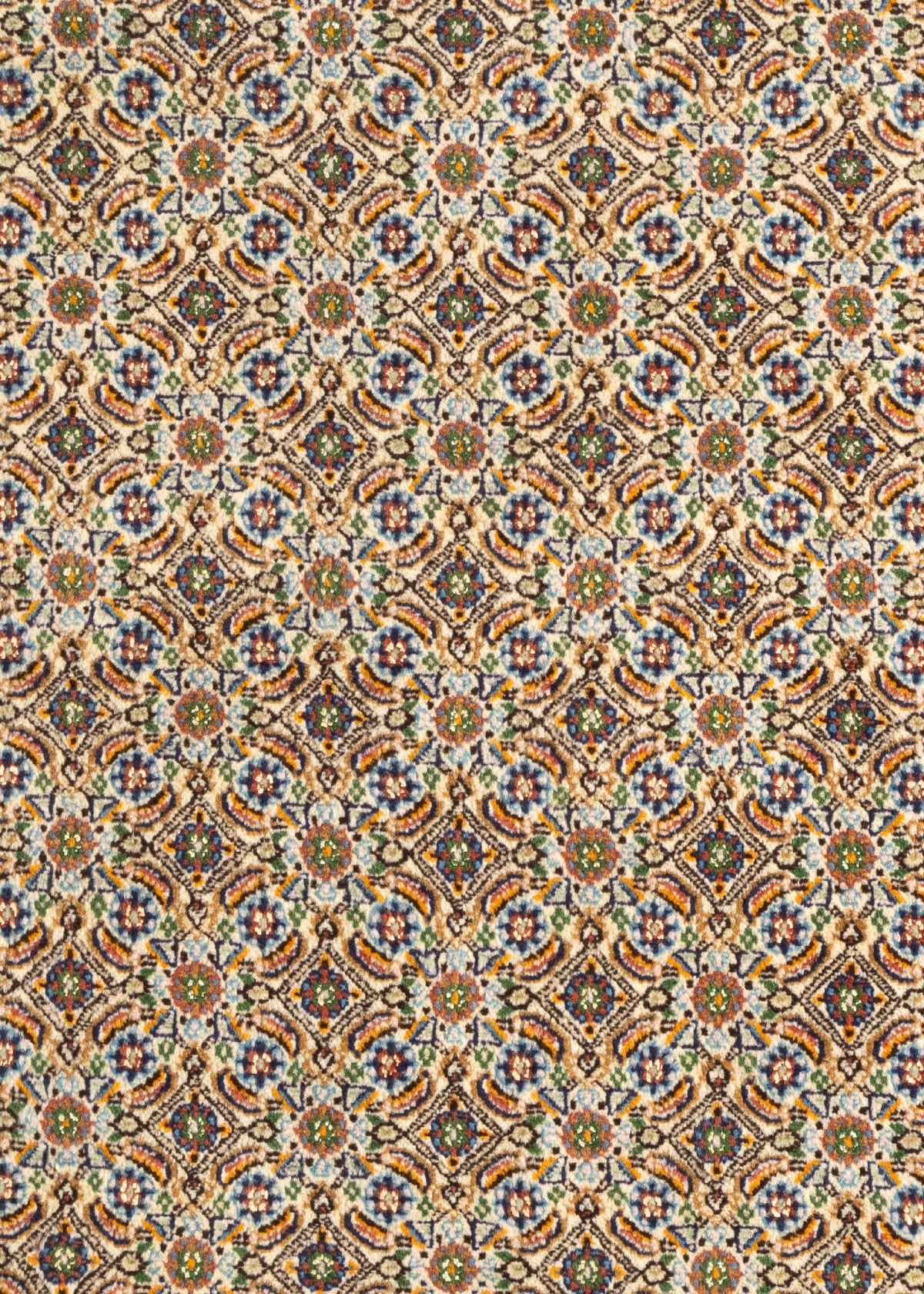 147 x 100 Moud