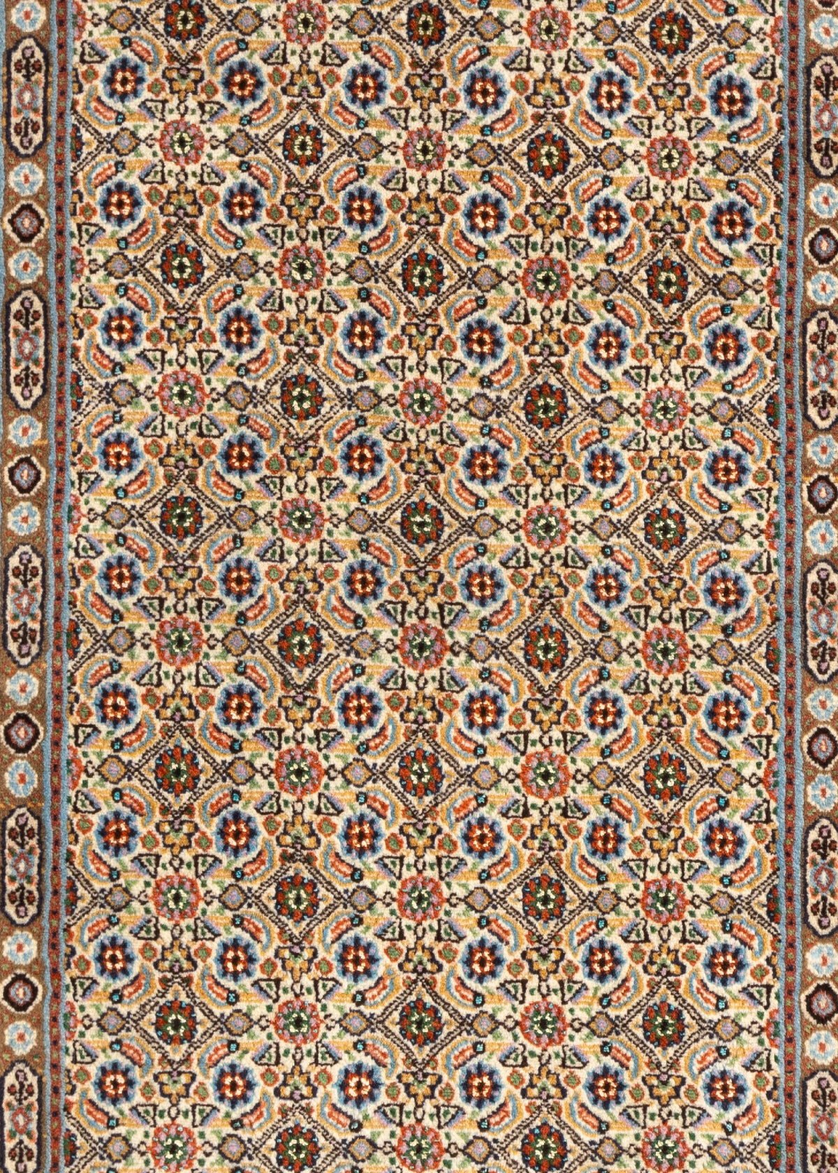 116 x 79 Moud