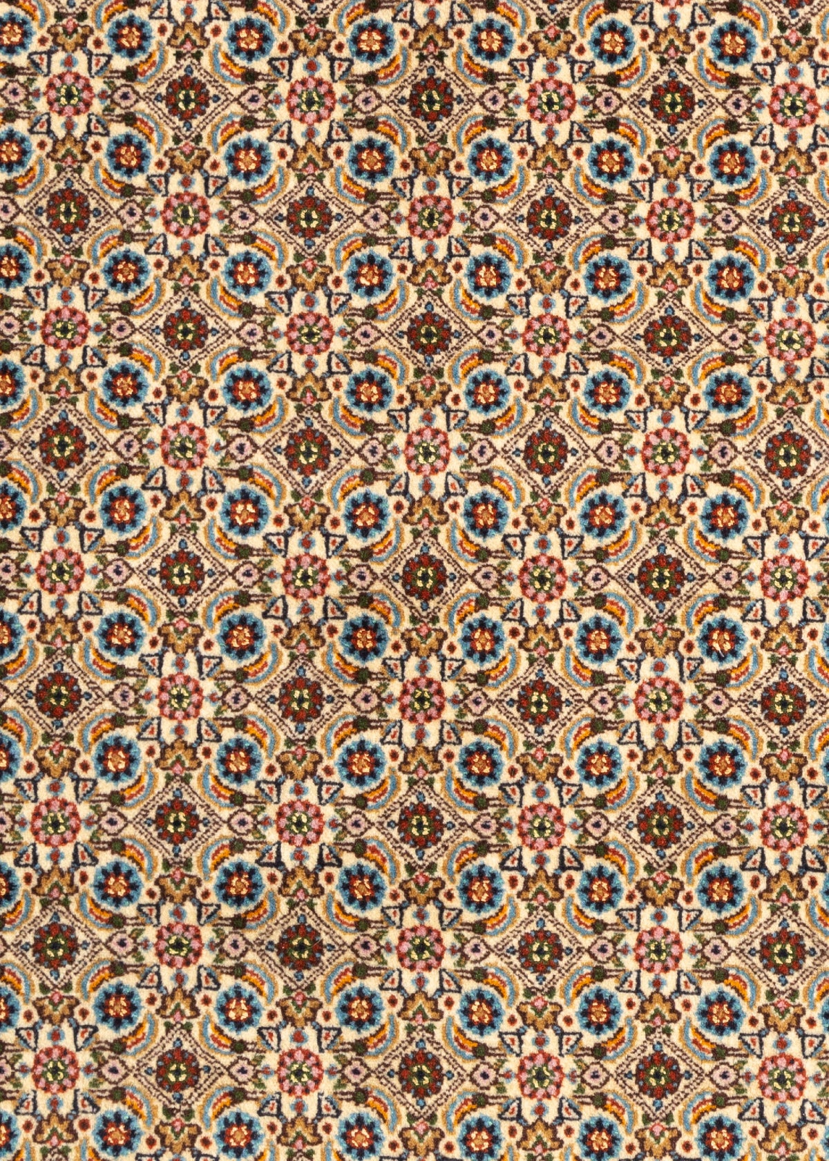 152 x 101 Moud