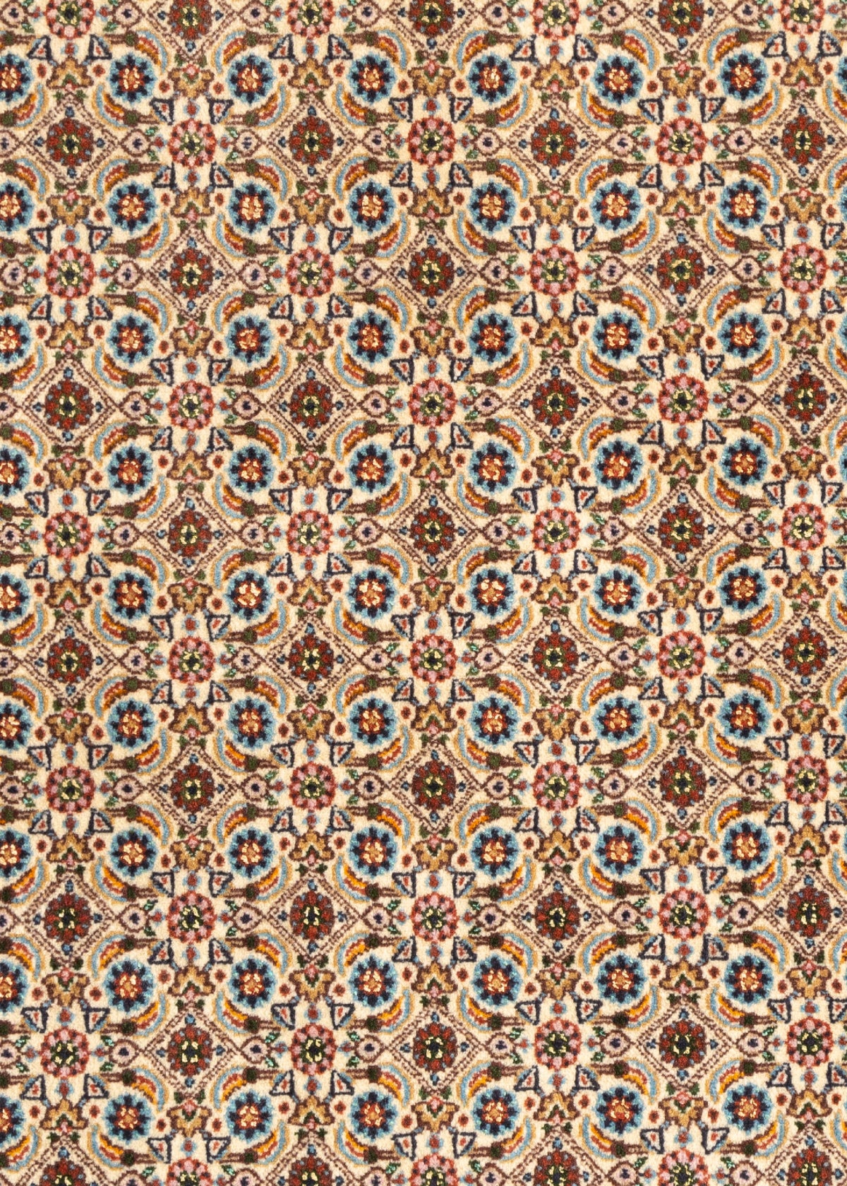 152 x 103 Moud